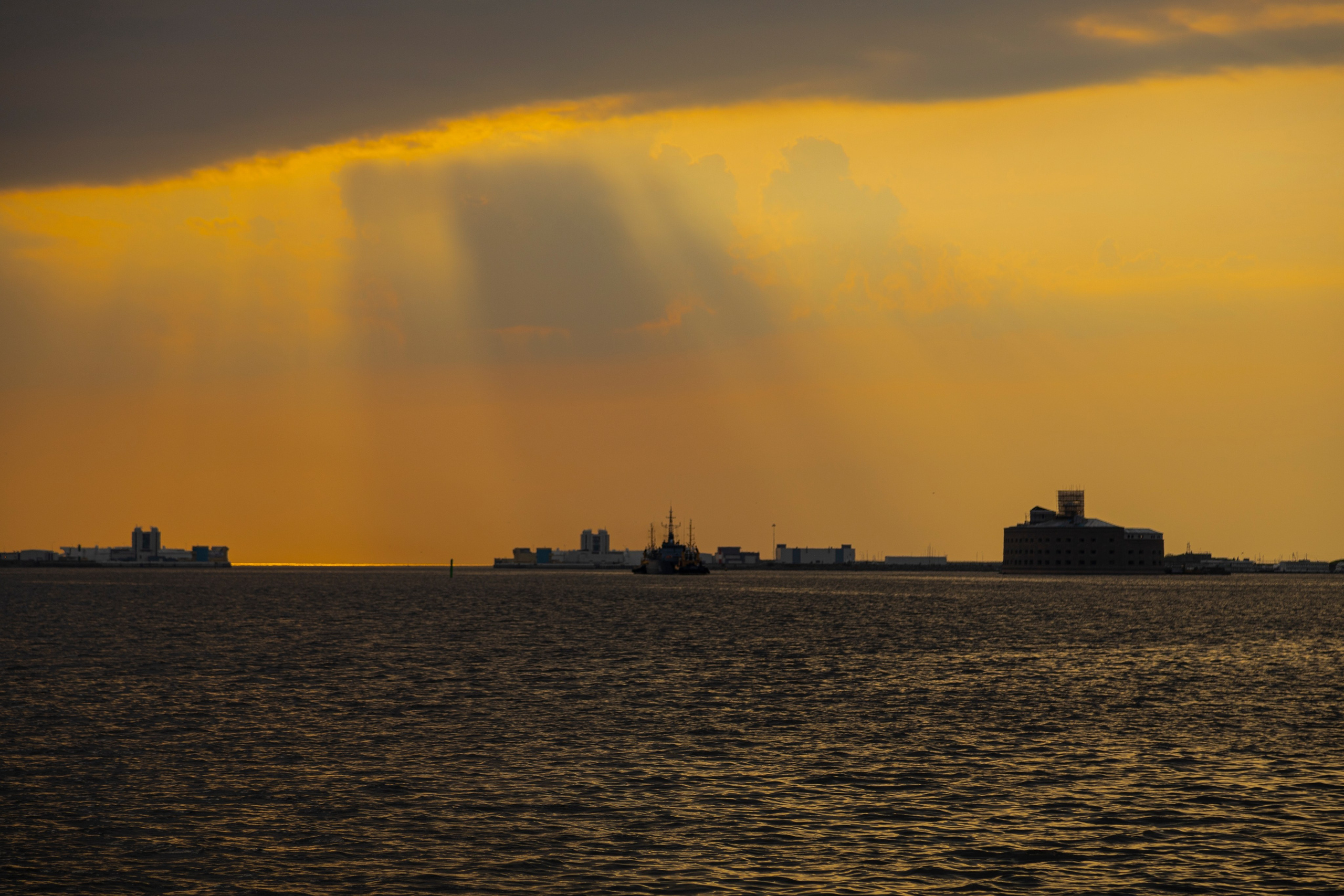Репортажи. Фотограф и видеограф в Санкт-Петербурге Прохорова Надежда