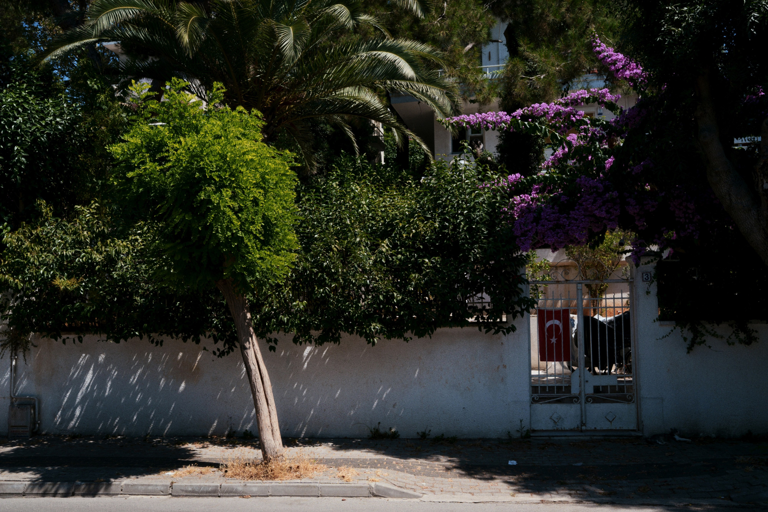 Büyükada х Heybeliada, Istanbul / Türkey SS25. Фотограф Юрин Евгений