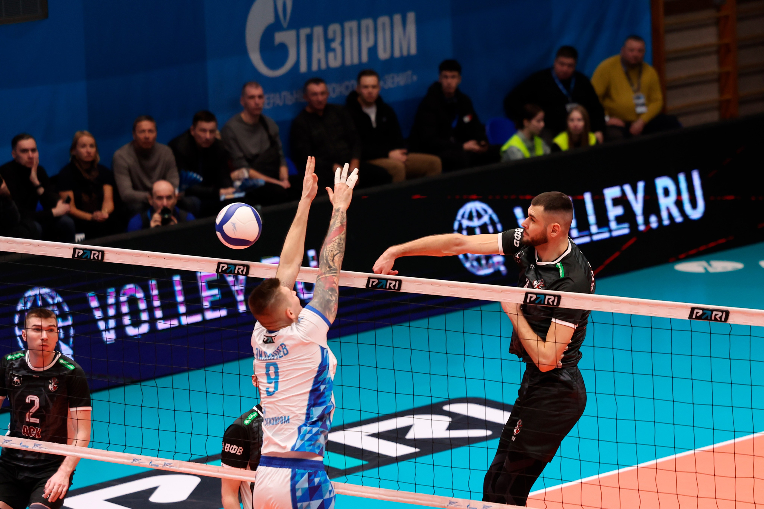 ВК Зенит — ВК АСК 15.03.2025. Спортивный и репортажный фотограф Антон Тереханов