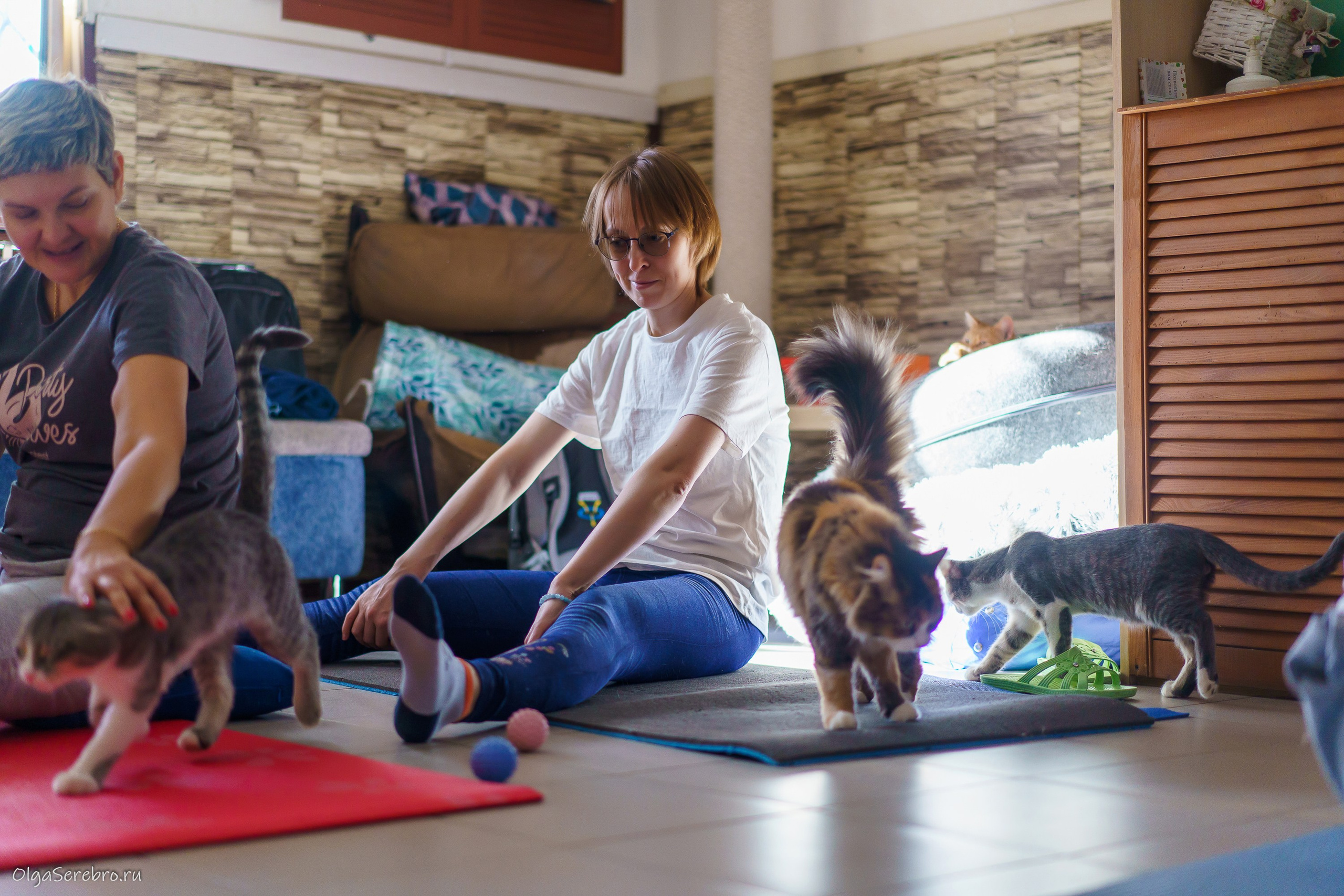 КОТОЙОГА. Фотограф Челябинск · Ольга Серебрякова