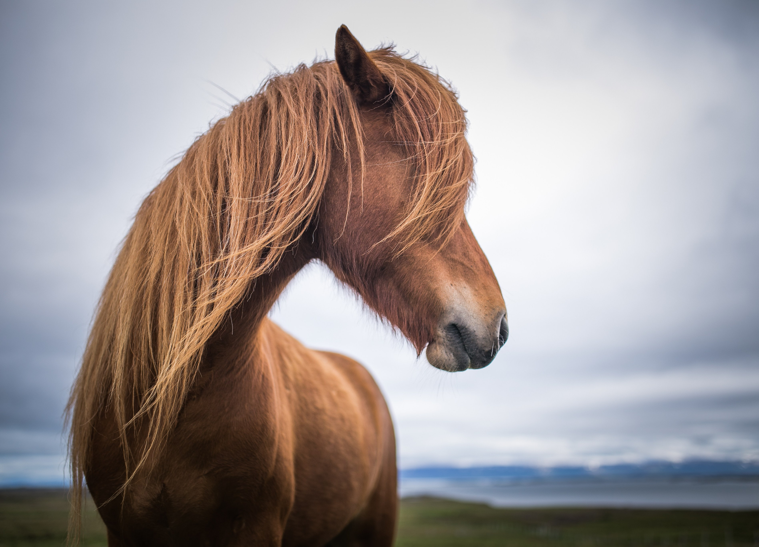 Исландия. Фотограф в Москве - Олег Гуров