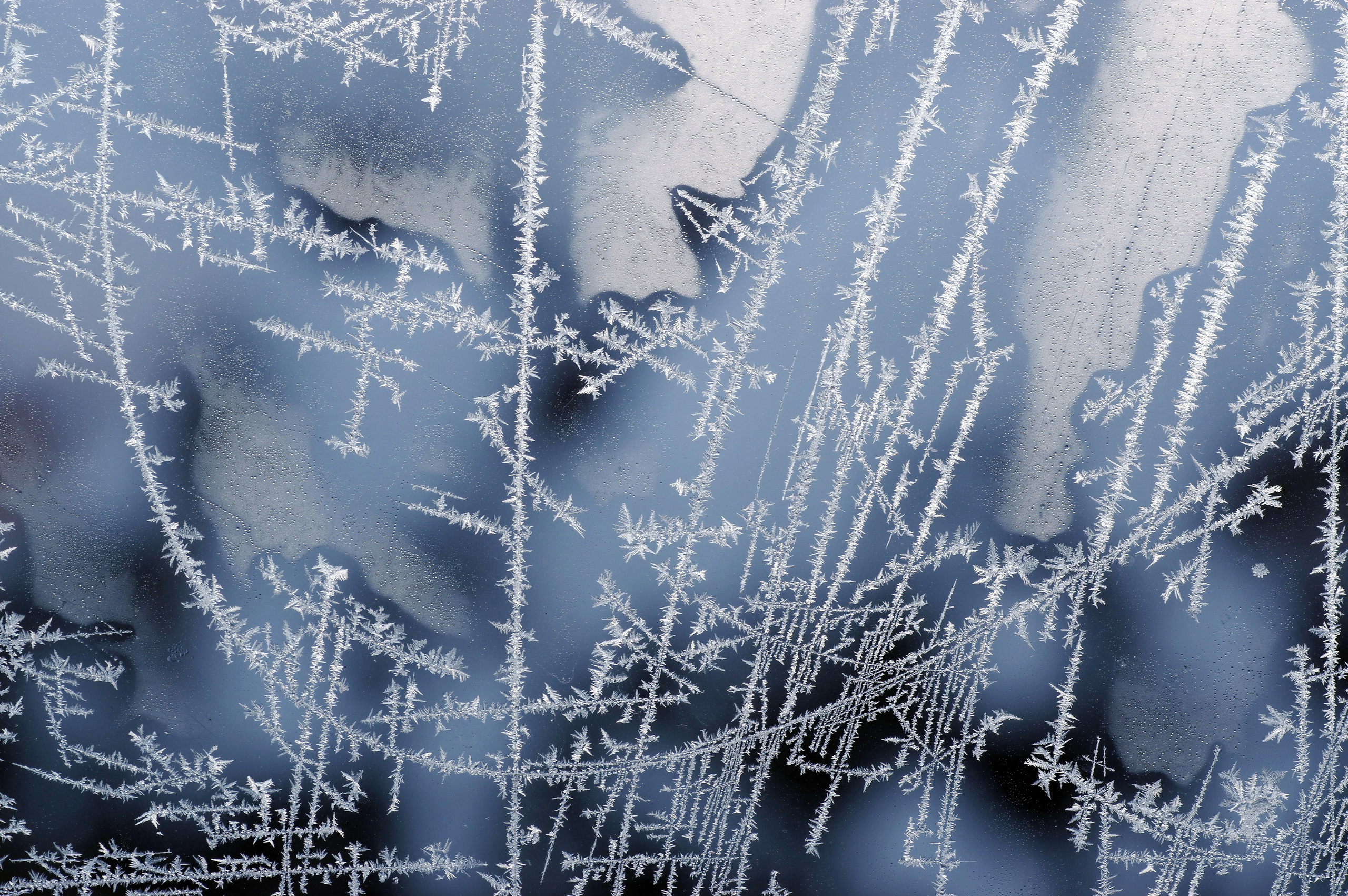 4. Вадим Шейдин