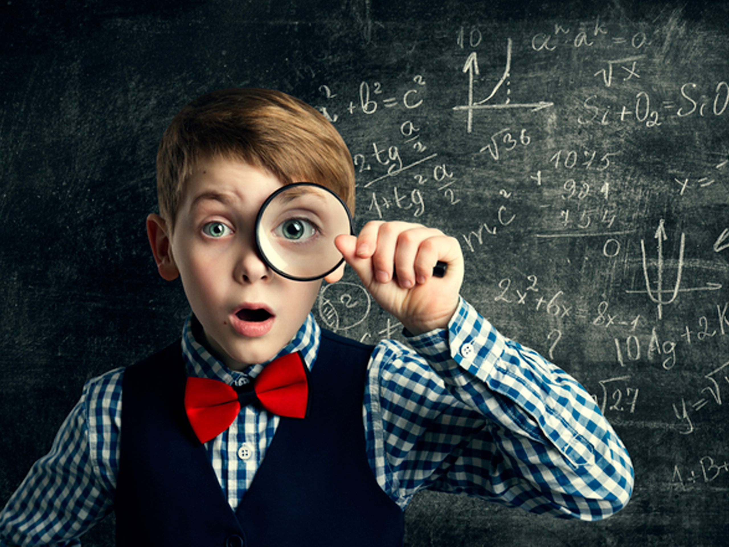 Альбомы для 4 класса. Создание стильных выпускных альбомов