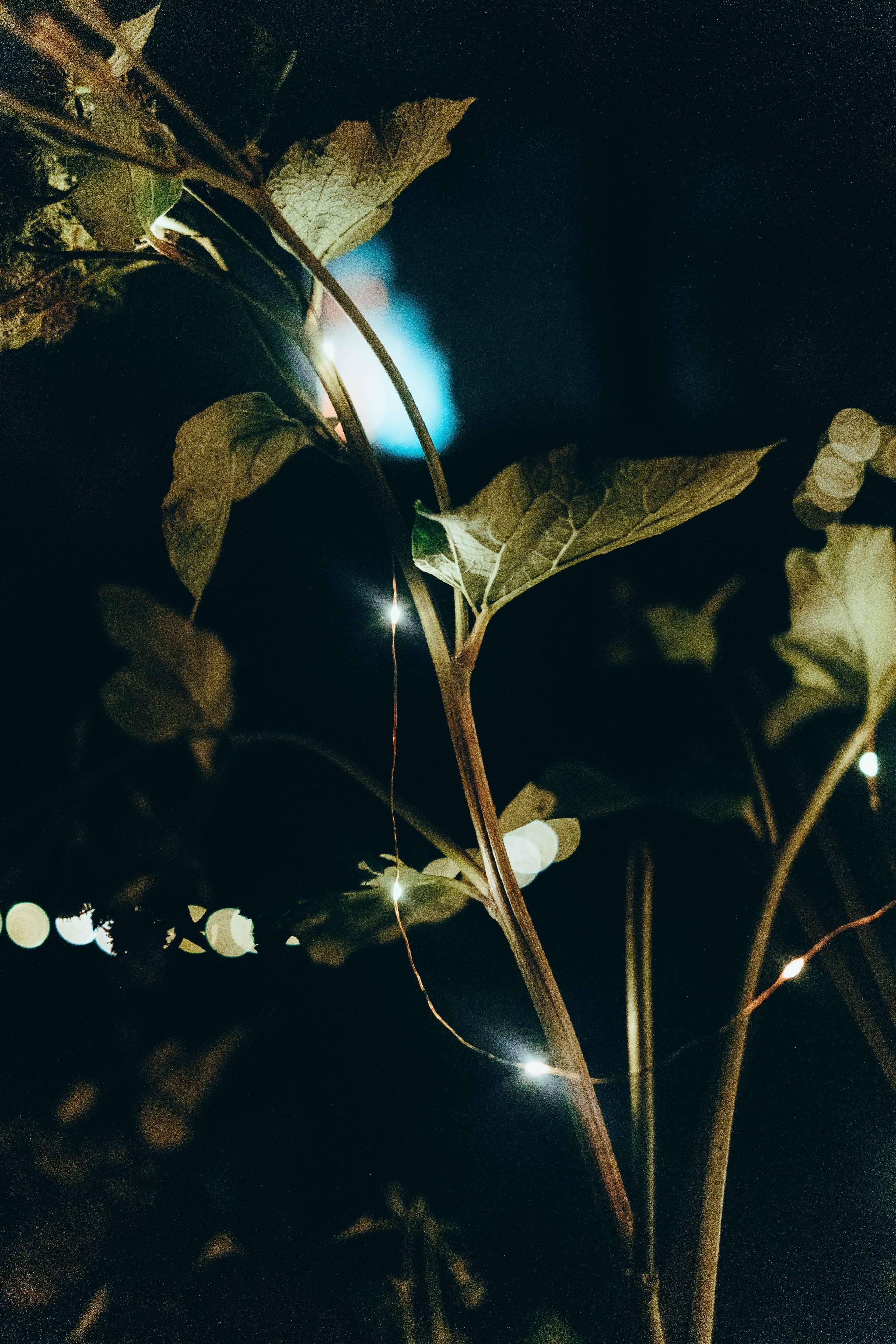 Бессонница 2025. Фотограф Аннё| Москва