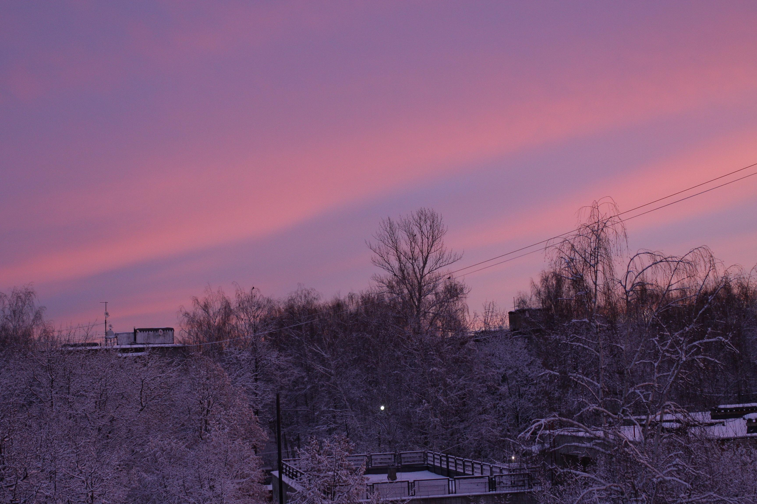 Природа. Матвей Лебедев: фото и видео, сайты. Москва, Жуковский, Малаховка