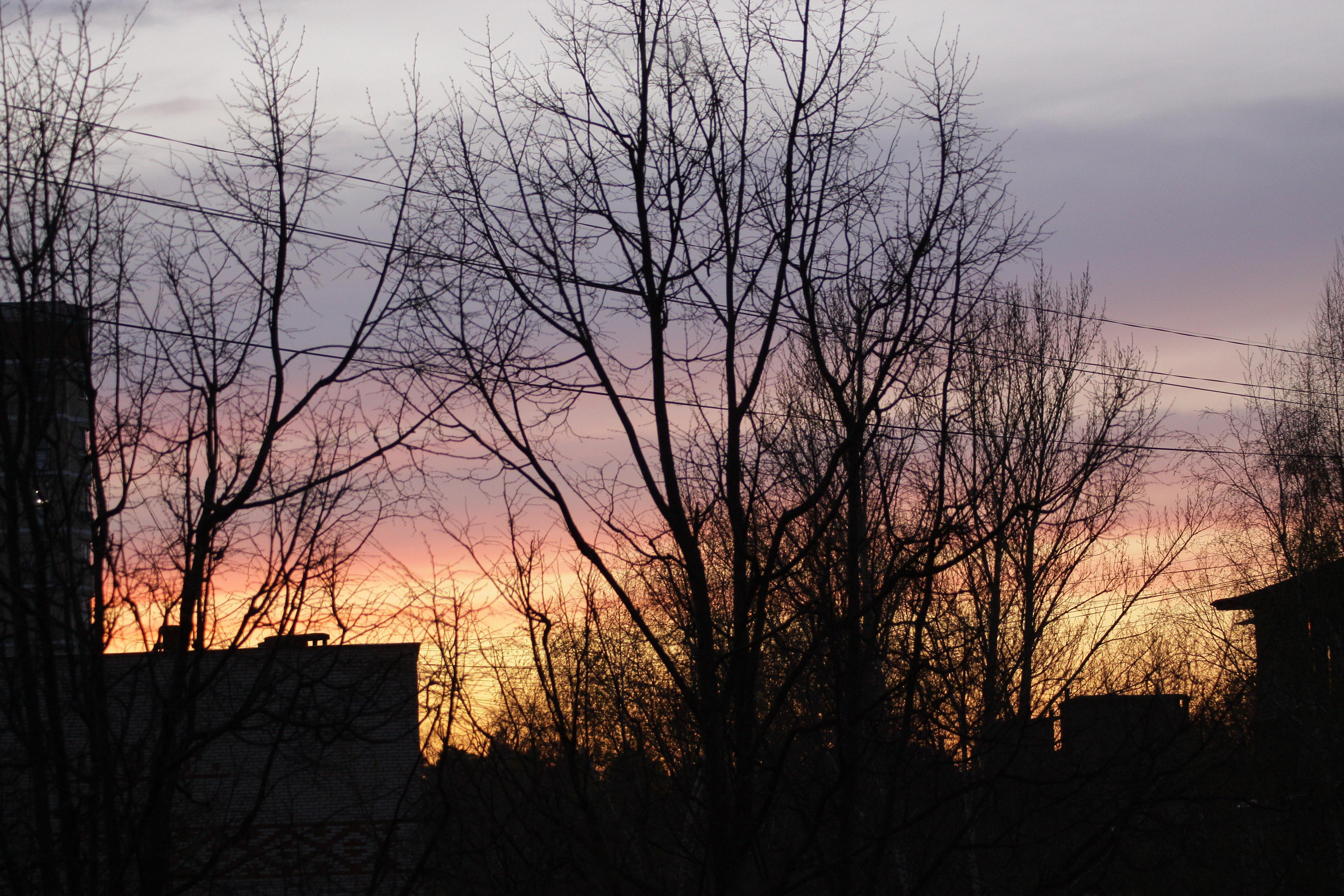 Природа. Матвей Лебедев: фото и видео, сайты. Москва, Жуковский, Малаховка
