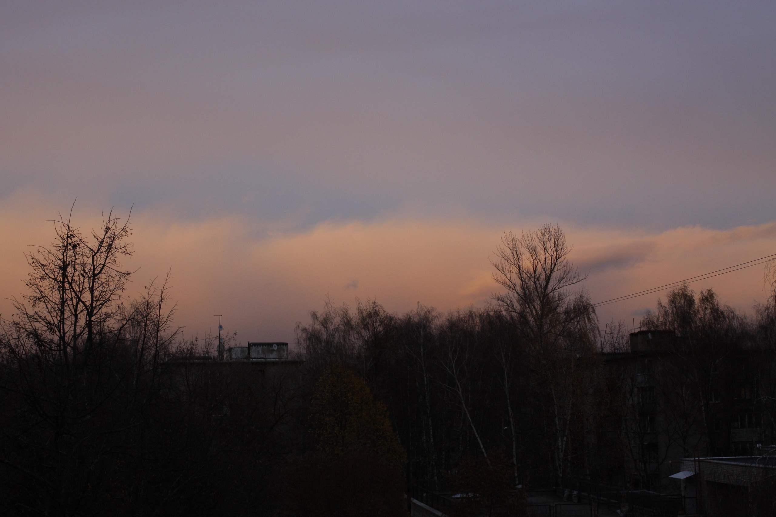Природа. Матвей Лебедев: фото и видео, сайты. Москва, Жуковский, Малаховка
