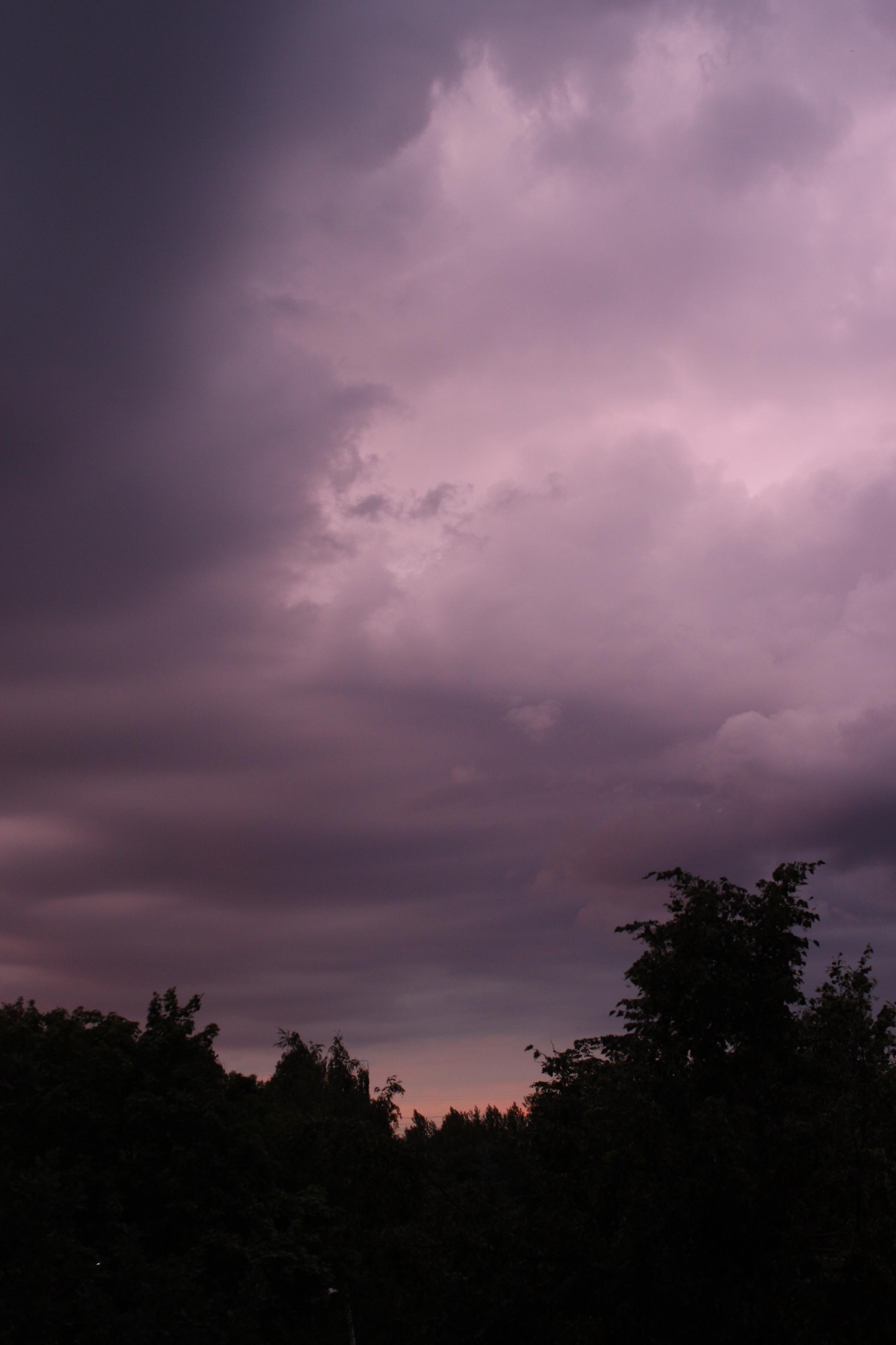 Природа. Матвей Лебедев: фото и видео, сайты. Москва, Жуковский, Малаховка