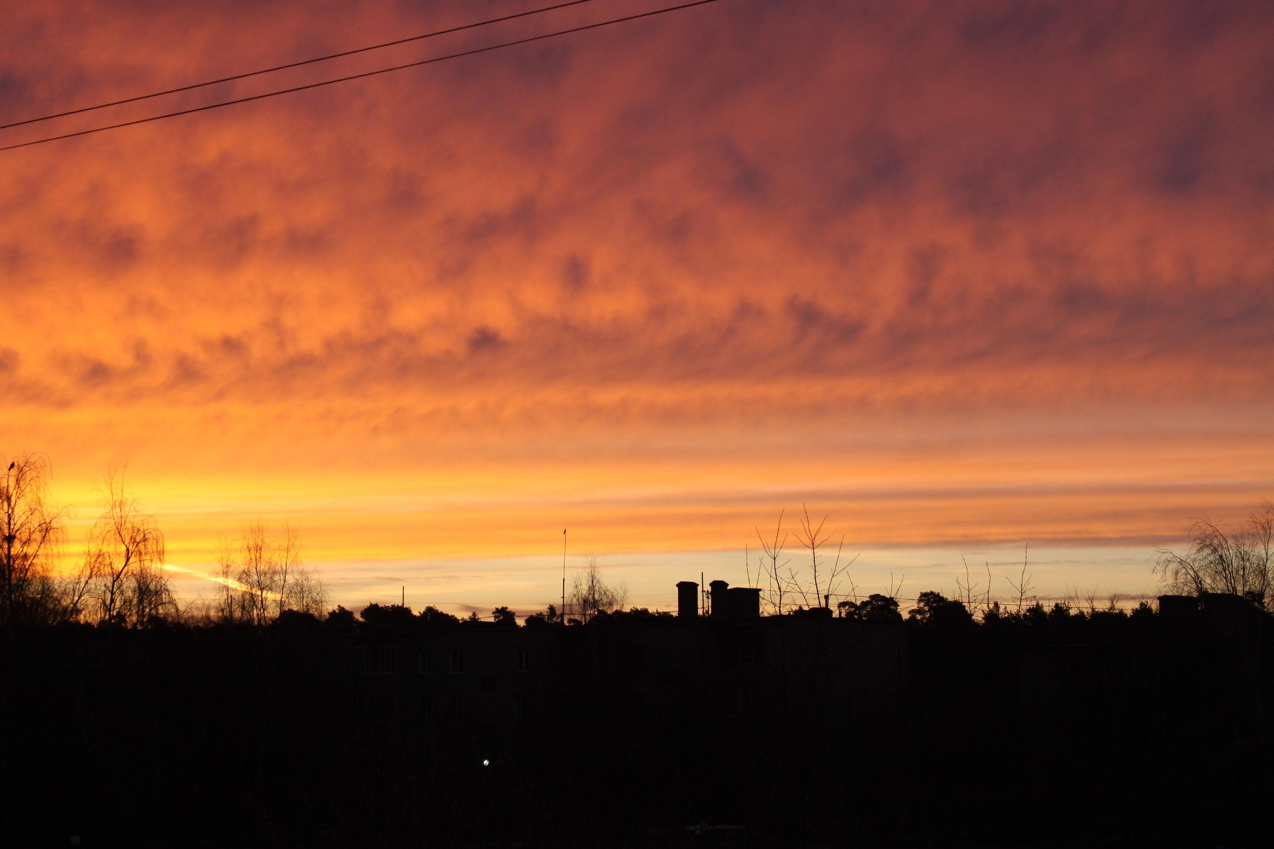 Природа. Матвей Лебедев: фото и видео, сайты. Москва, Жуковский, Малаховка
