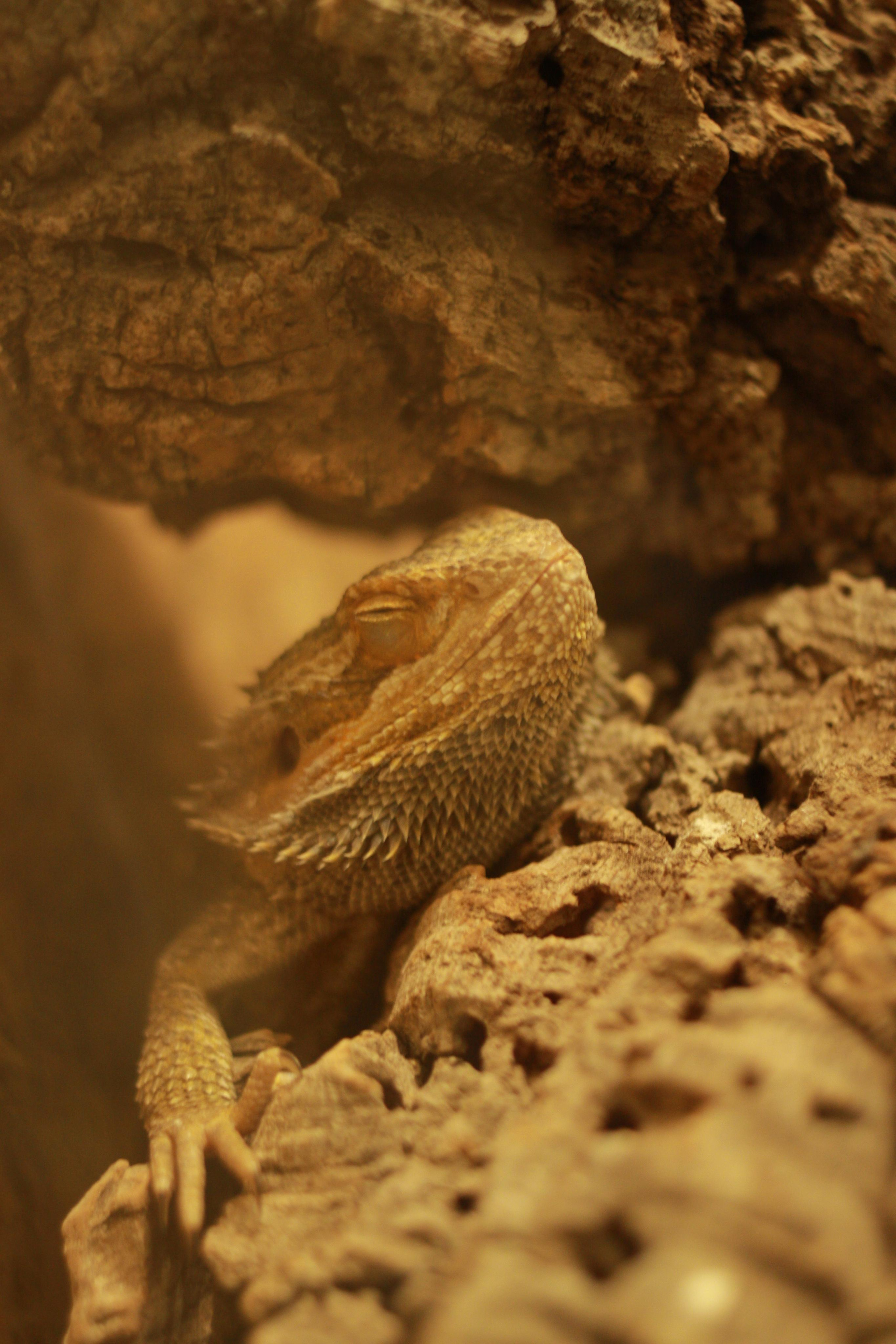 Природа. Матвей Лебедев: фото и видео, сайты. Москва, Жуковский, Малаховка