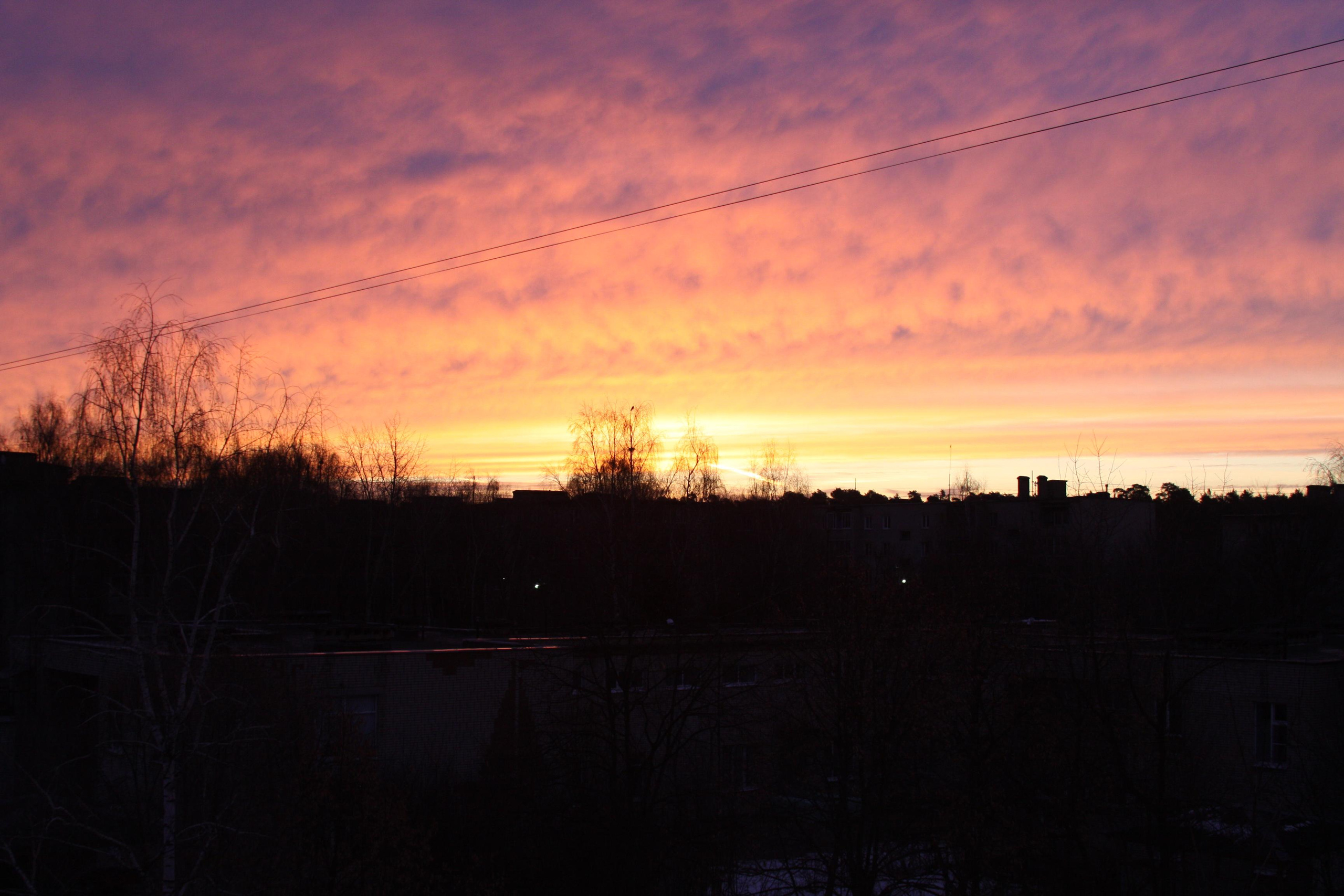 Природа. Матвей Лебедев: фото и видео, сайты. Москва, Жуковский, Малаховка