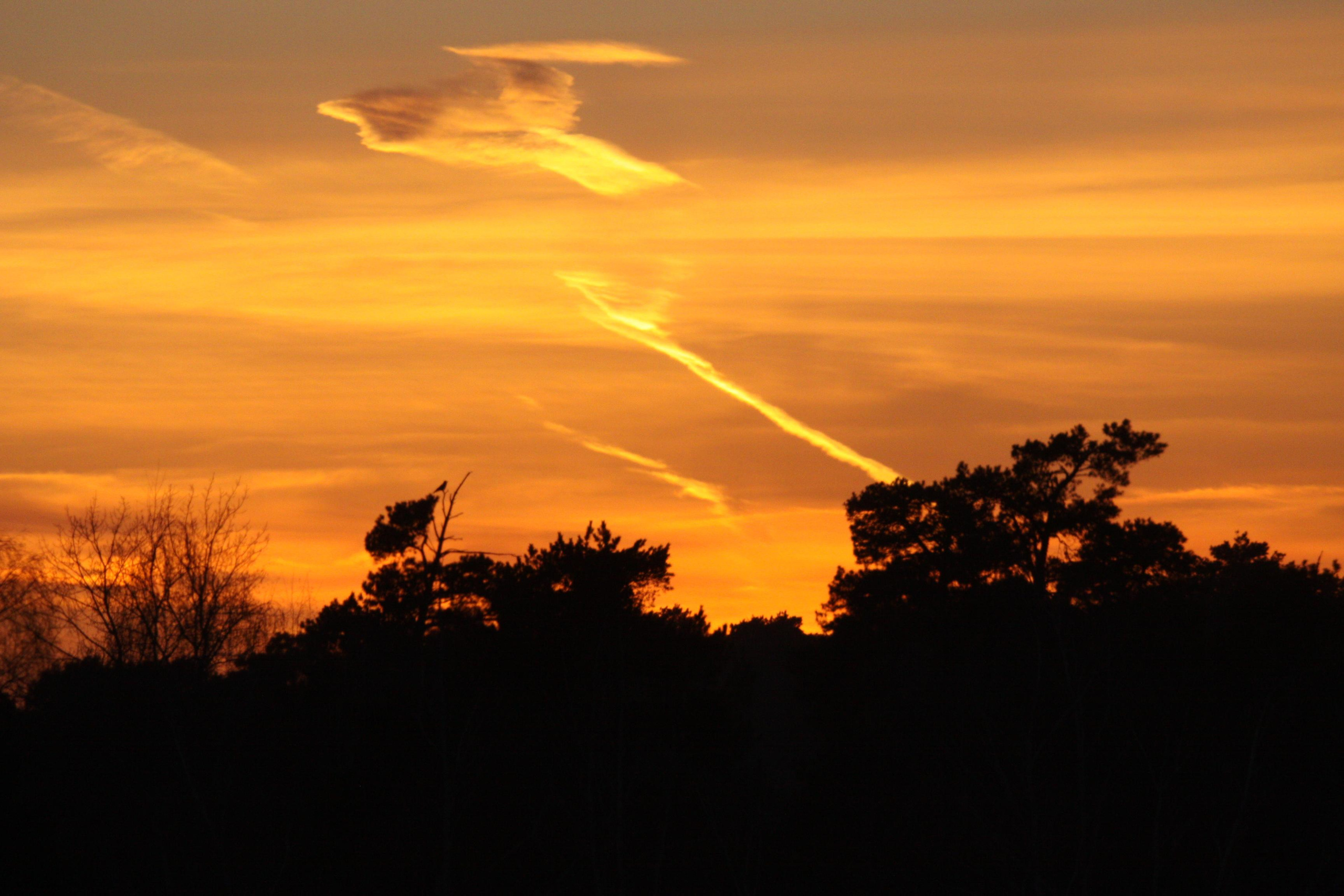 Природа. Матвей Лебедев: фото и видео, сайты. Москва, Жуковский, Малаховка