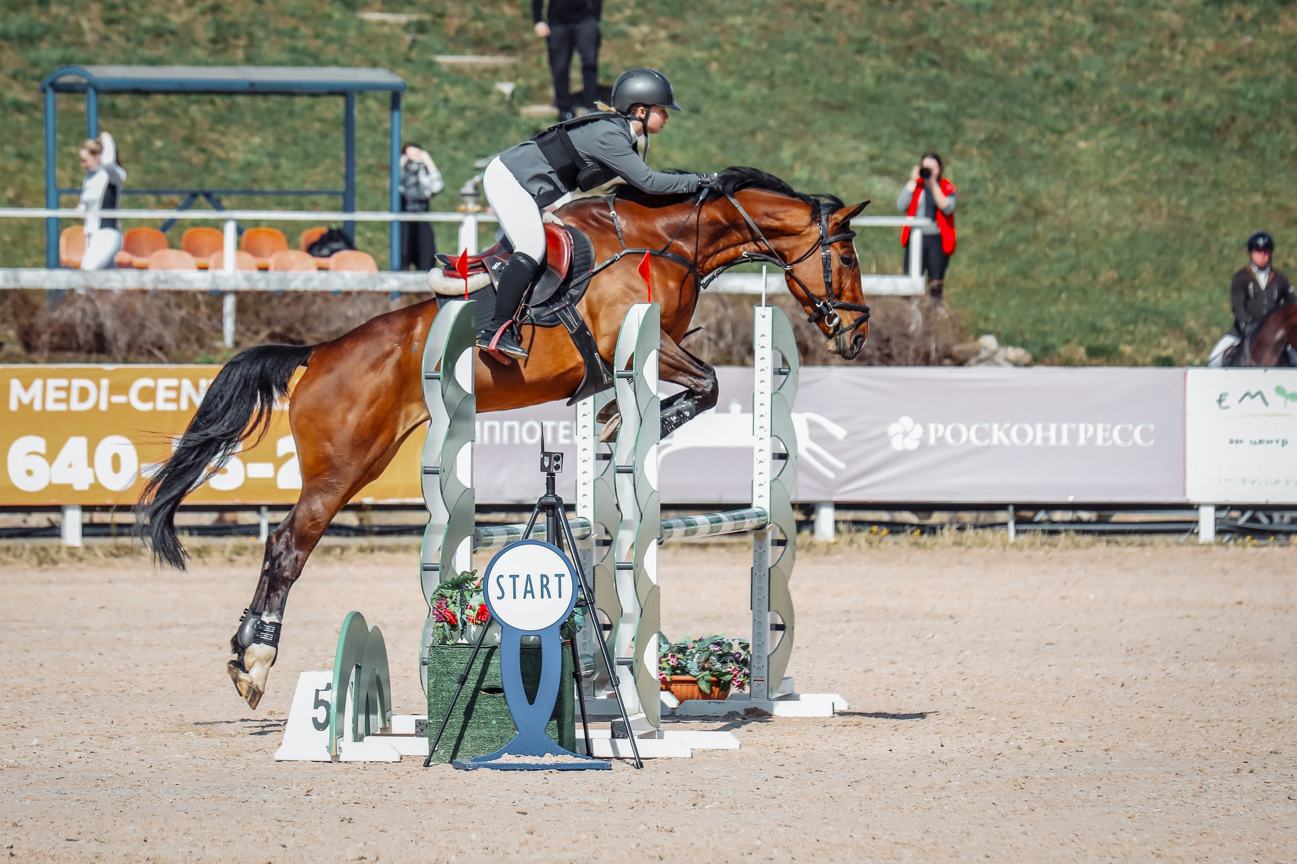 Лошади Евы Демидовой. Ева Демидова. Спортсмен по конкуру в Санкт-Петербуре