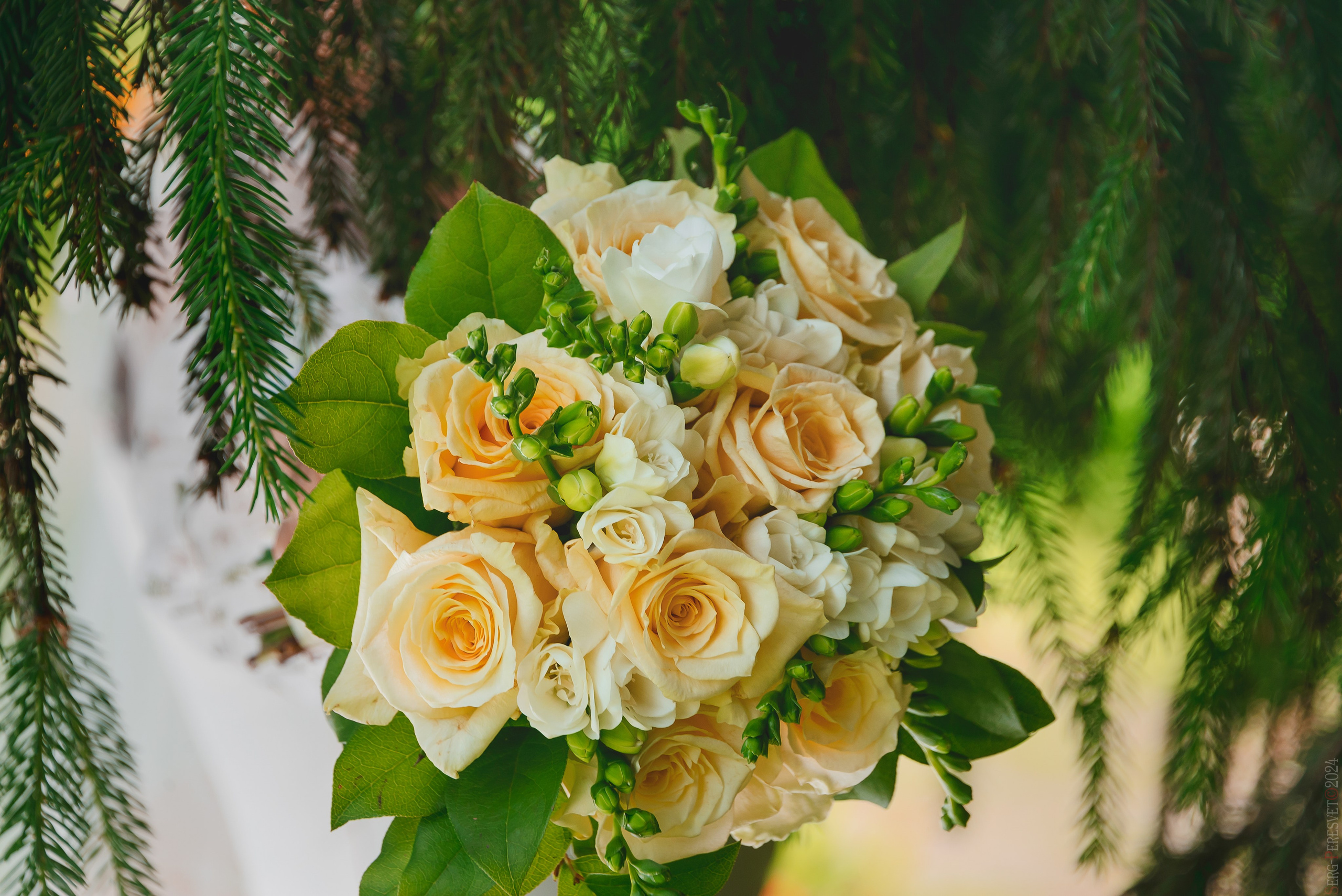Фотограф на свадьбу в Москве и Раменском Сергей Пересвет. Ваш фотограф на праздник в Москве, Раменском, Жуковском, Люберцах