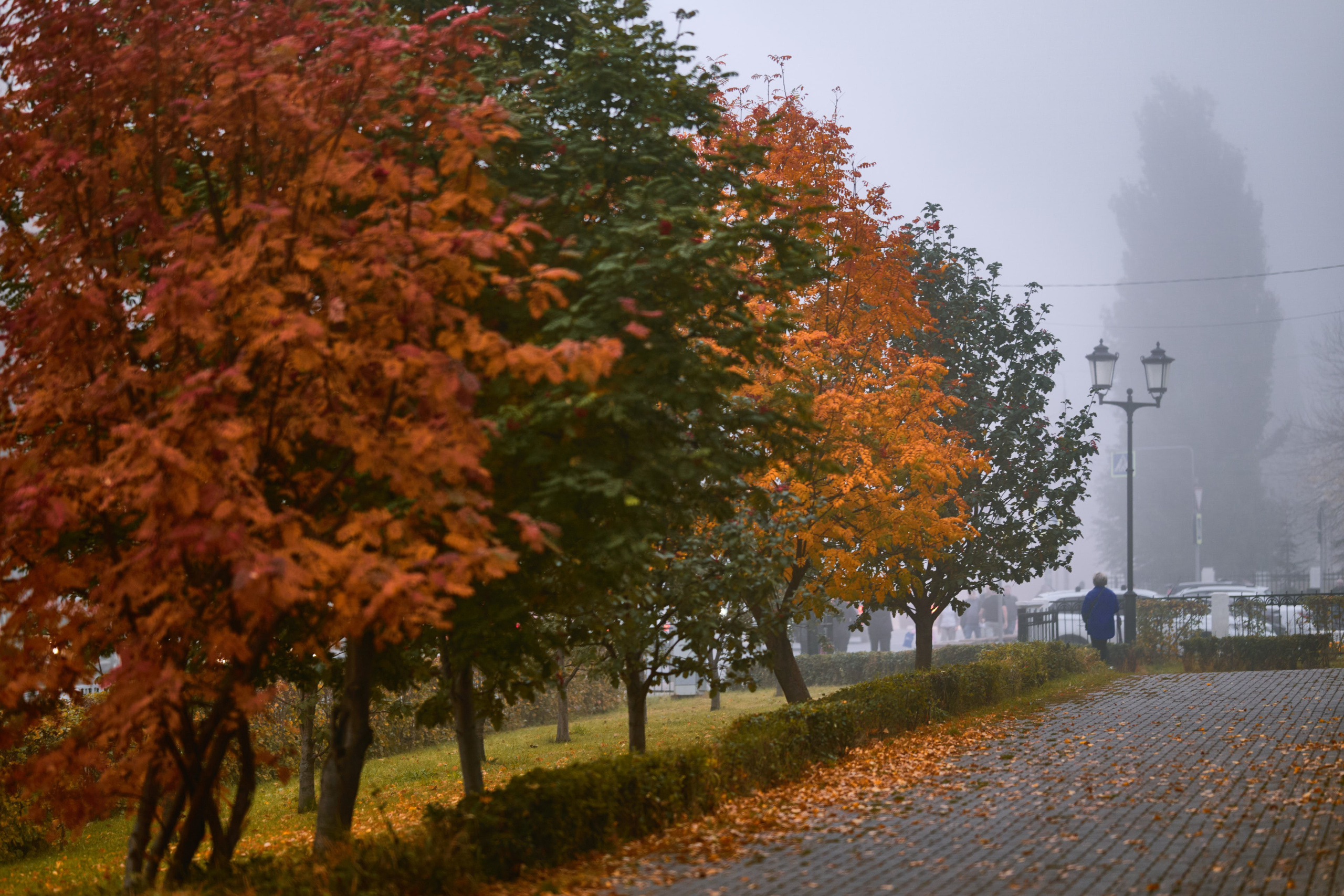 Туманная Самара