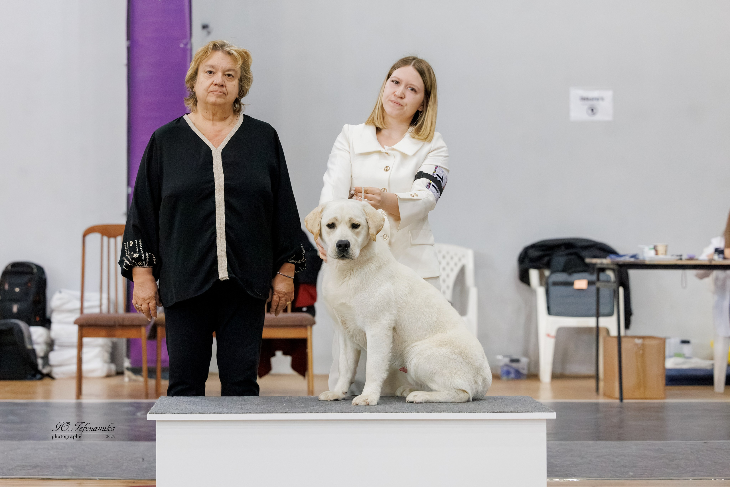 Ереван 2х CACIB 29-30.04.2025. Фотограф-анималист Юлия Германика