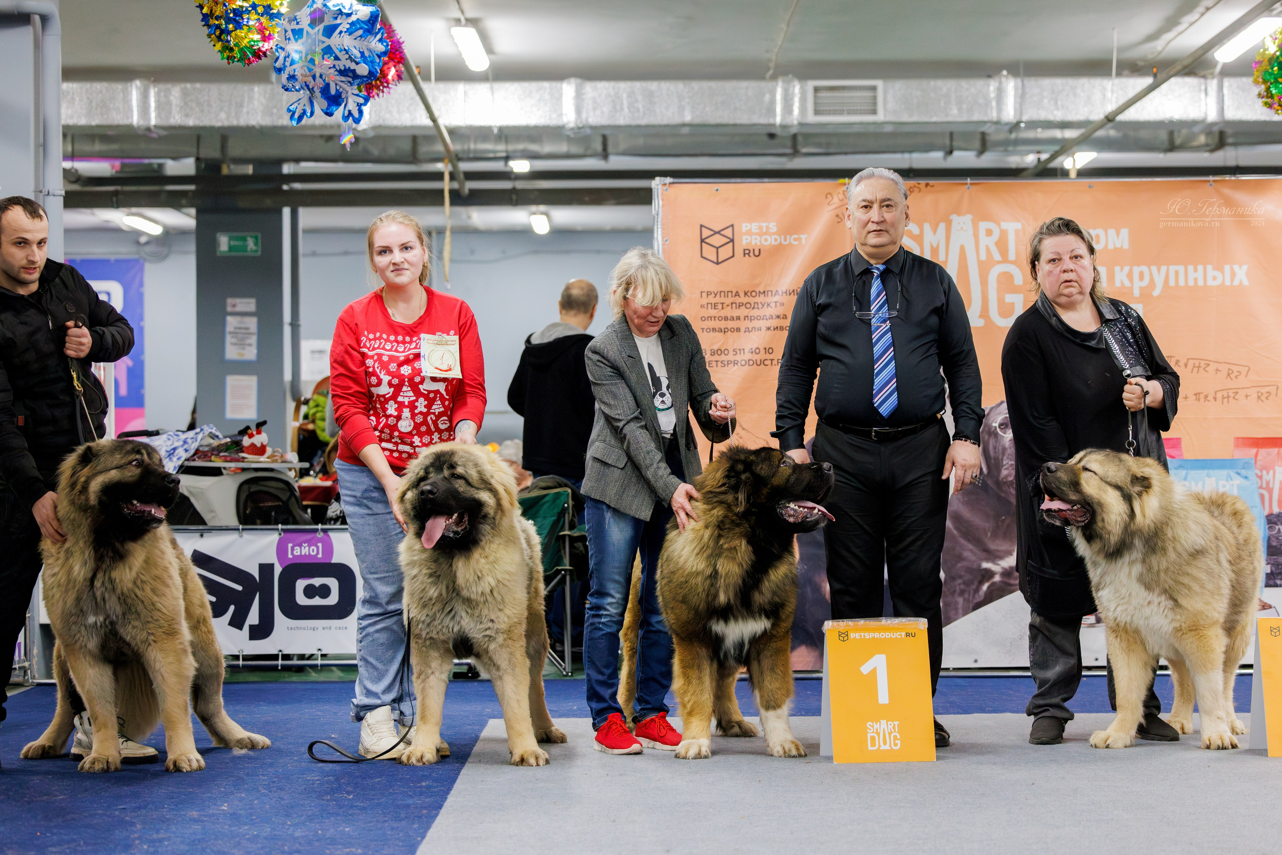 Крокус 21.12.2024,Сфера 29.12.2024. Фотограф-анималист Юлия Германика