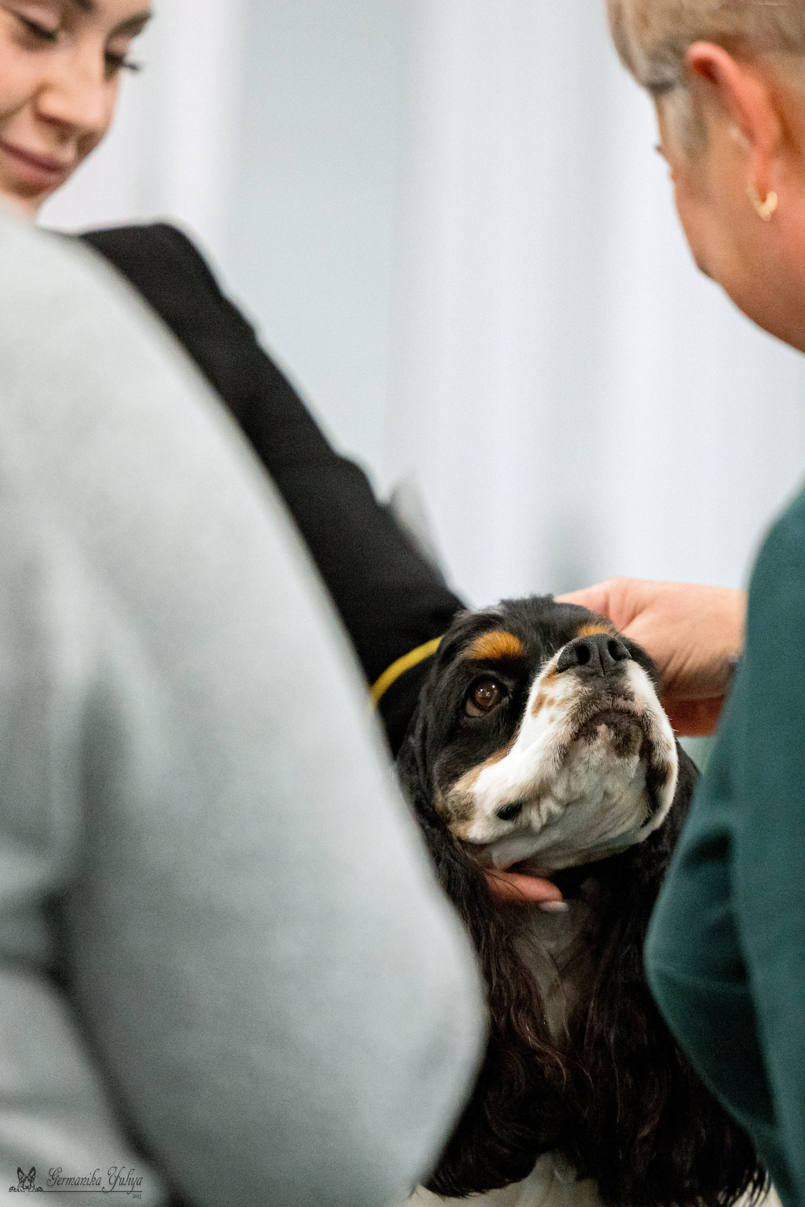 Сфера 29.10,Крокус 4.11,Сфера 12.11.2023. Фотограф-анималист Юлия Германика