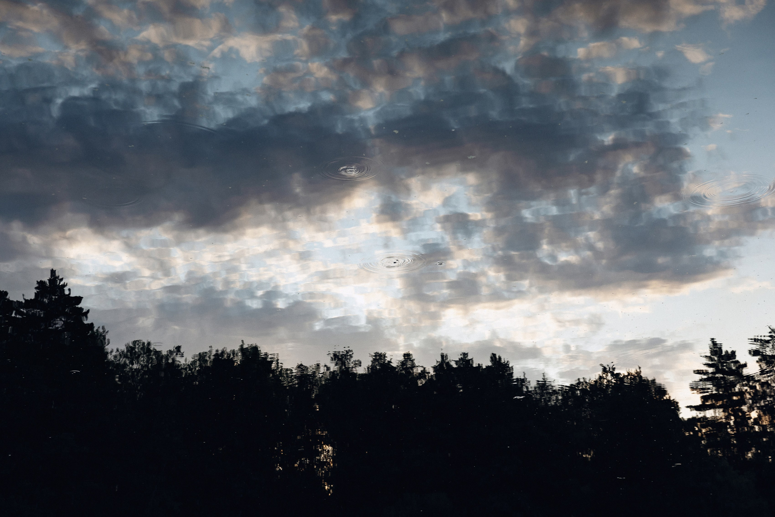 СВАДЕБНЫЕ СЕРИИ. Свадебный Фотограф Толстой Константин