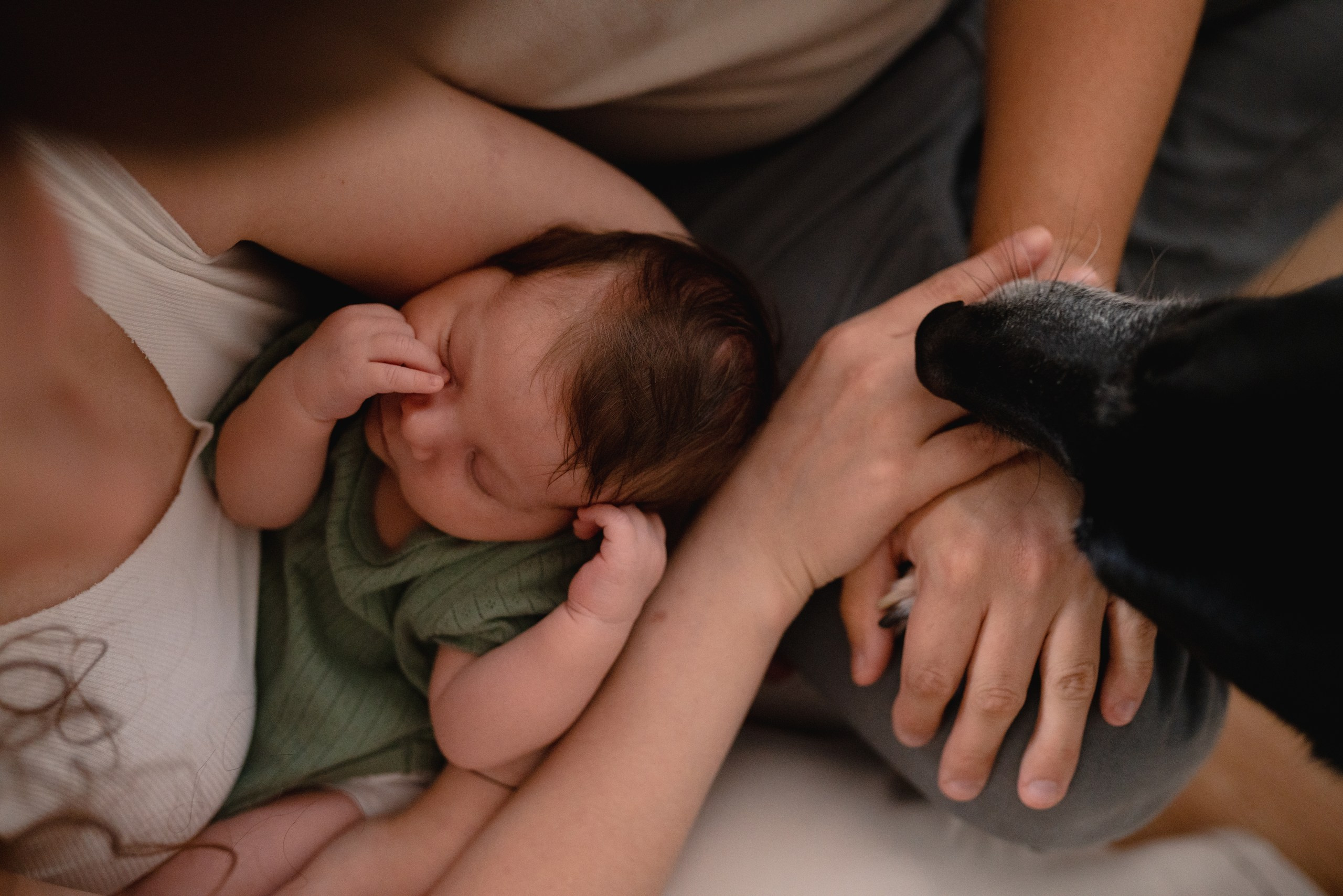 Портфолио. Семейный фотограф в Москве Лилия Лебедева