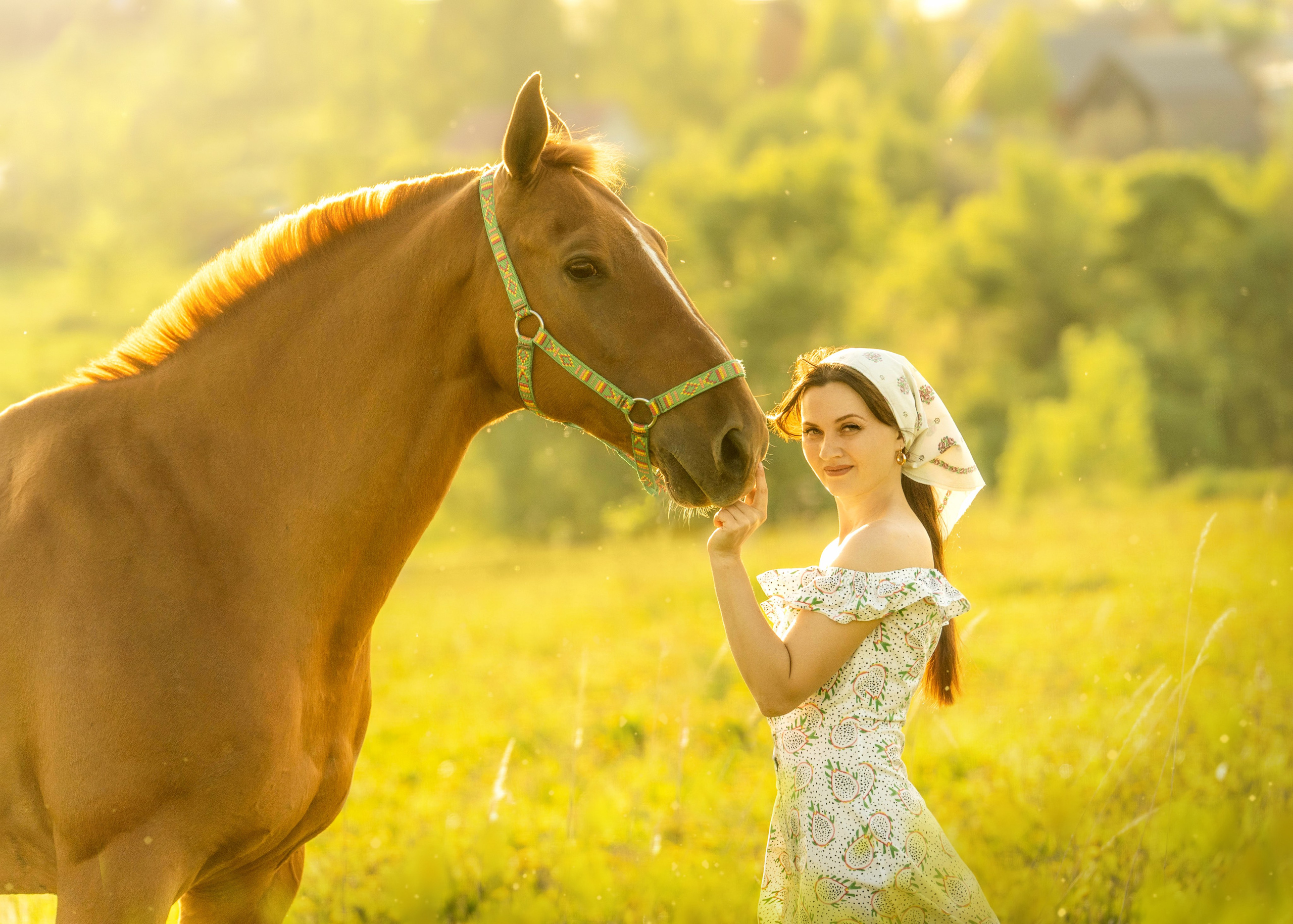 Поле. Фотограф Дарья Соколовская