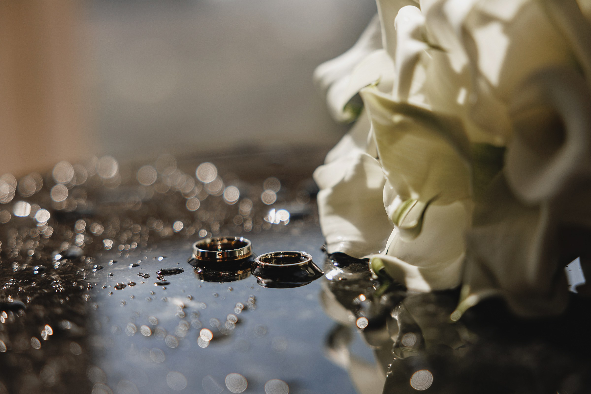 Артем и София. Свадебный фотограф и видеограф Дмитрий Горяченков