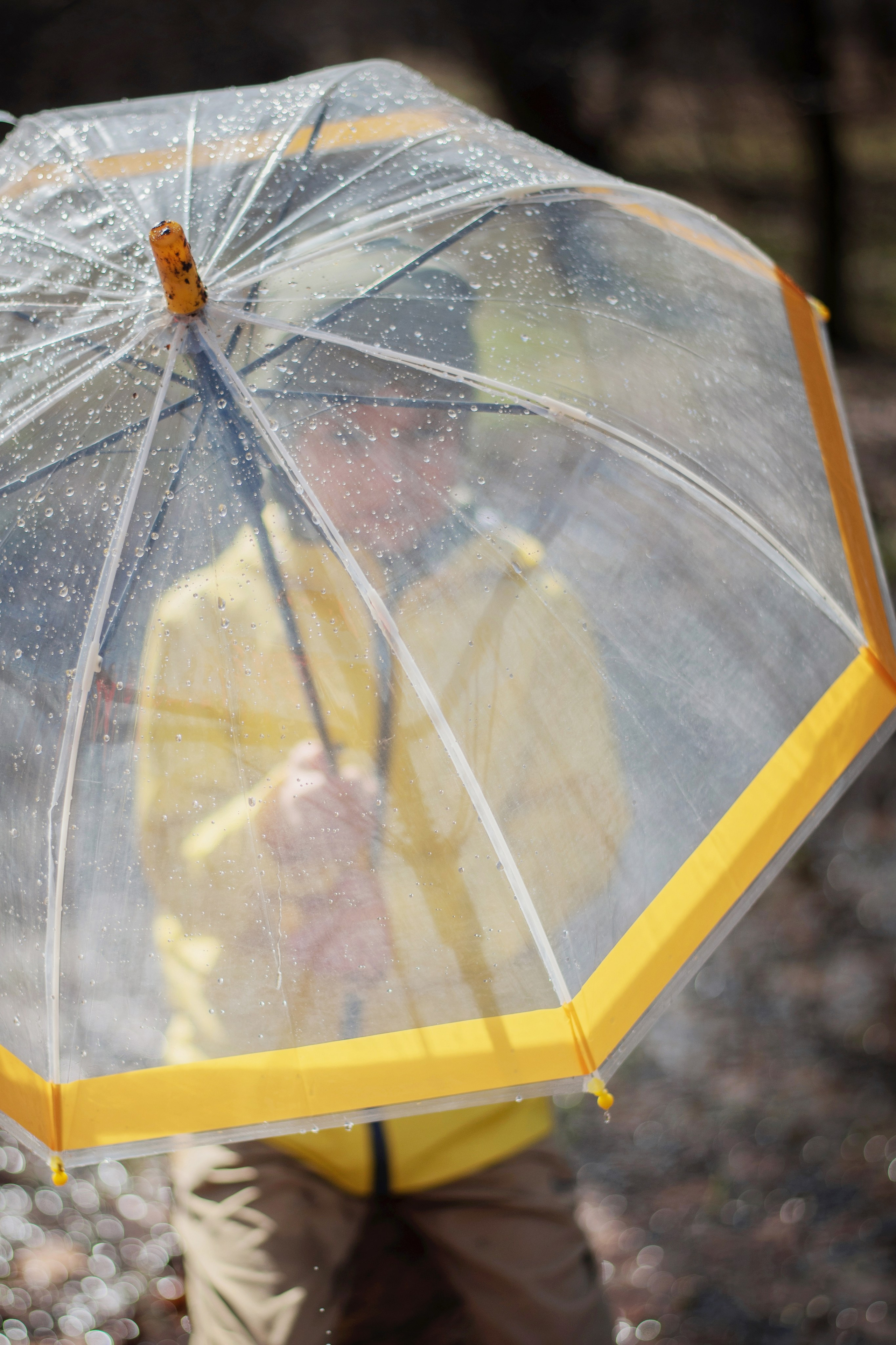 Весна. Лина Курочка — ваш фотограф