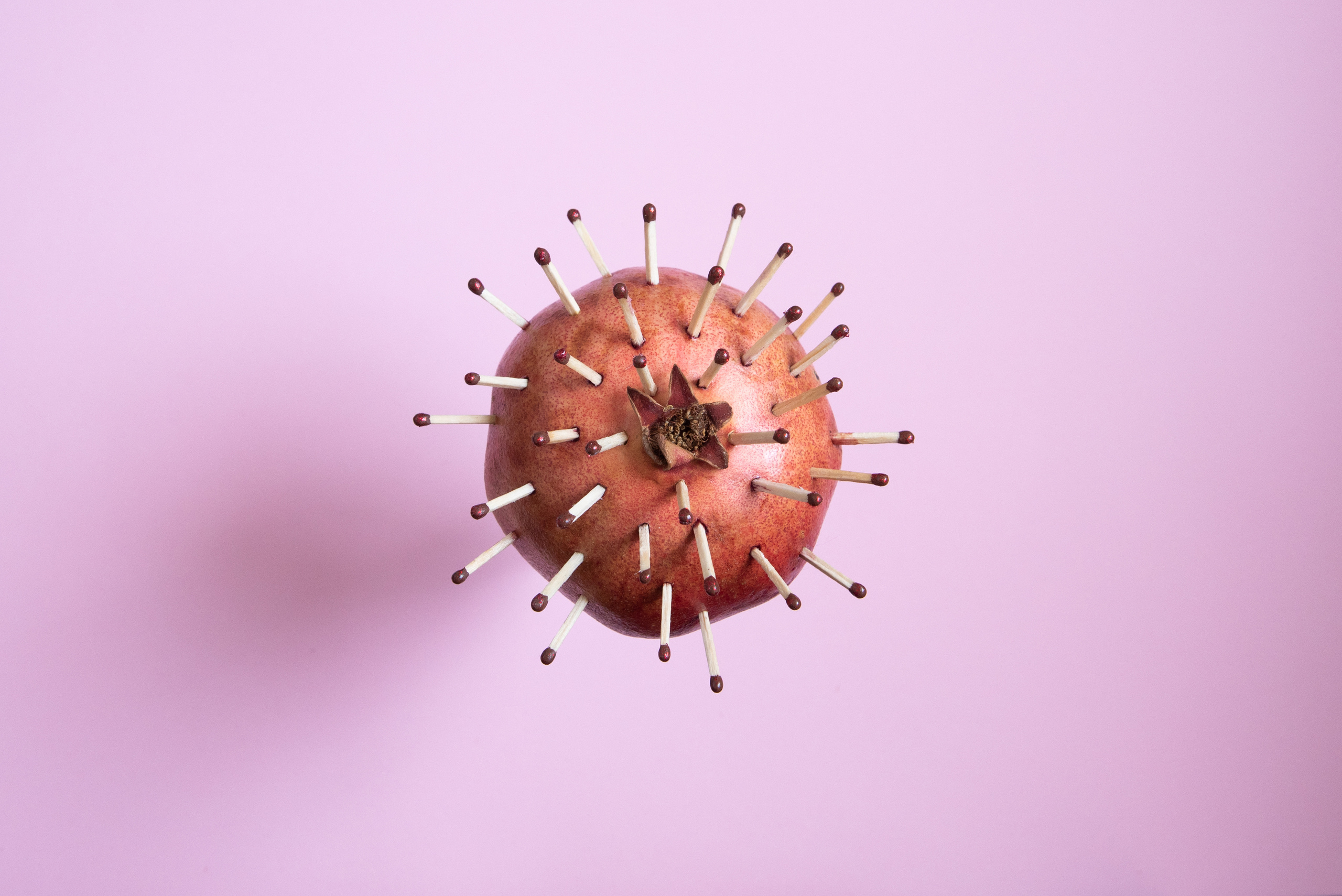 Вирус. Фотография для жизни от Елены Чихичиной