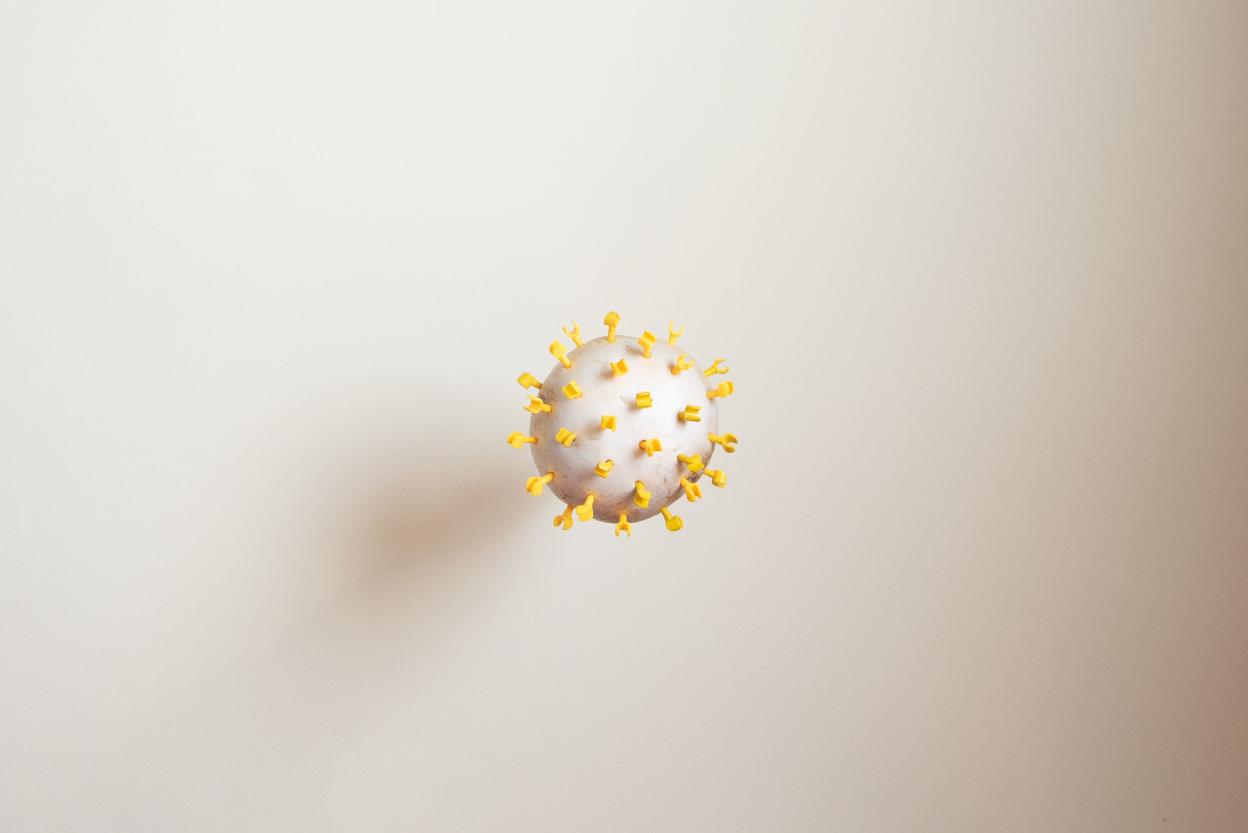 Вирус. Фотография для жизни от Елены Чихичиной