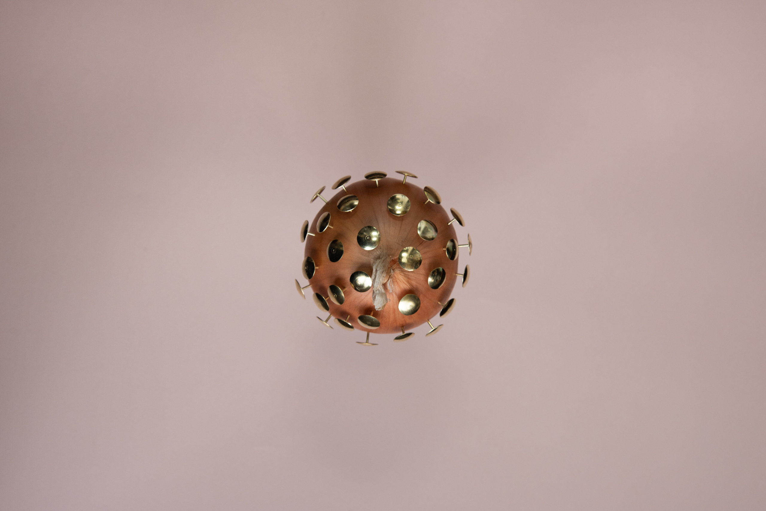 Вирус. Фотография для жизни от Елены Чихичиной