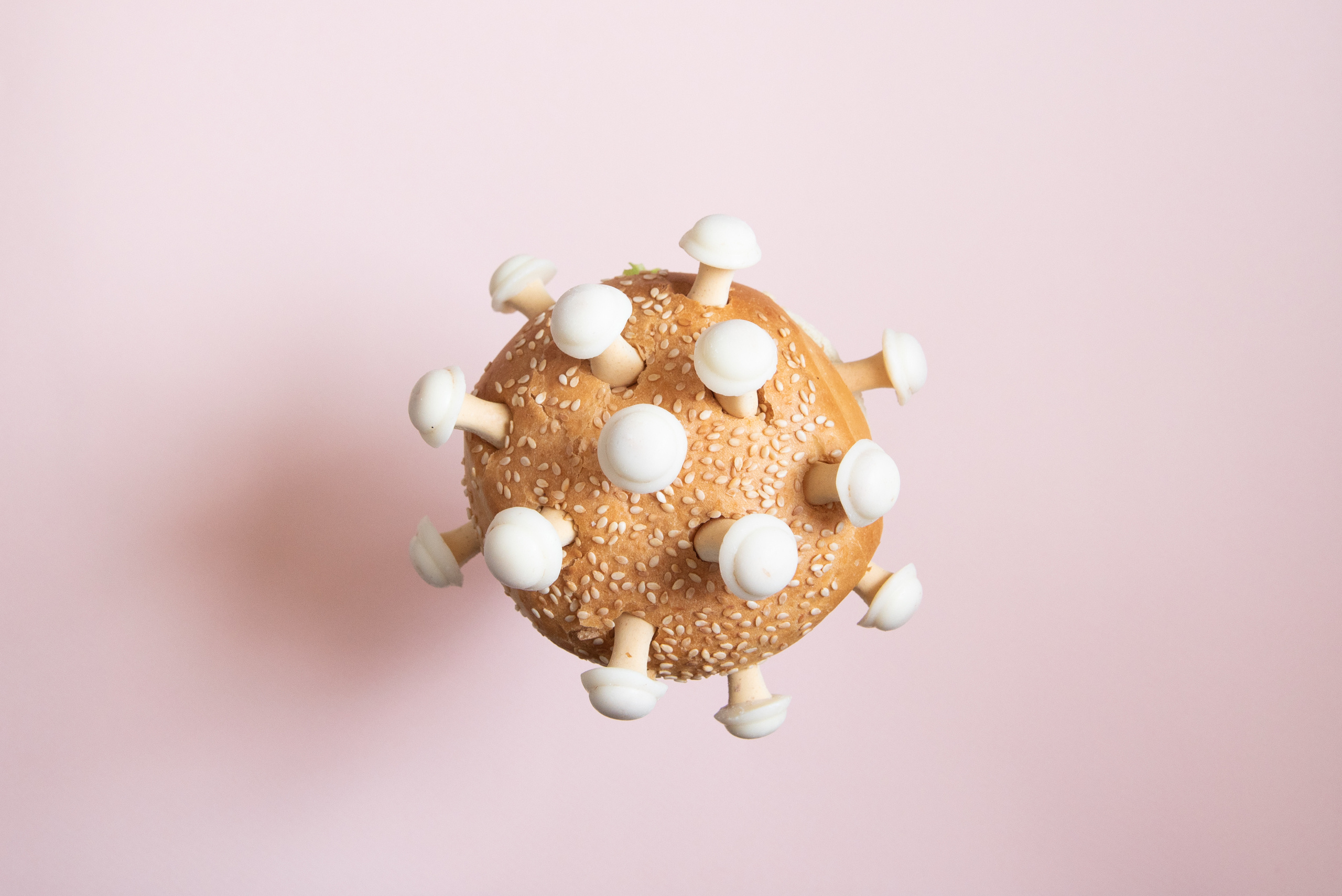 Вирус. Фотография для жизни от Елены Чихичиной