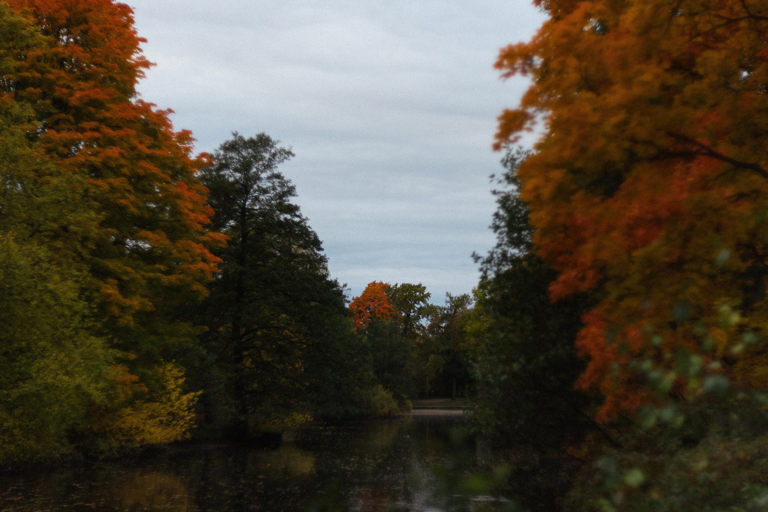 Autumn. Свадебный фотограф Санкт-Петербург DanyaPhotoart