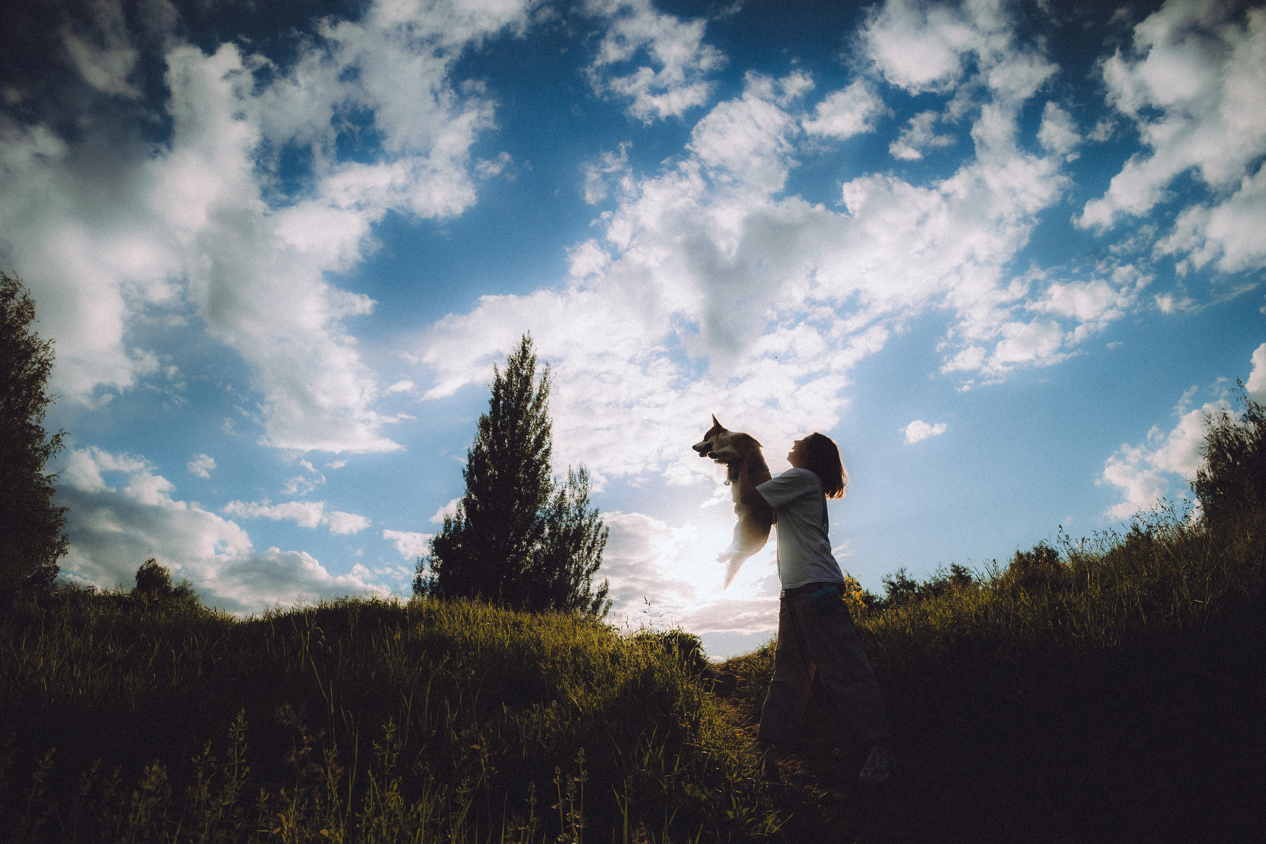 Вирджик и его семья