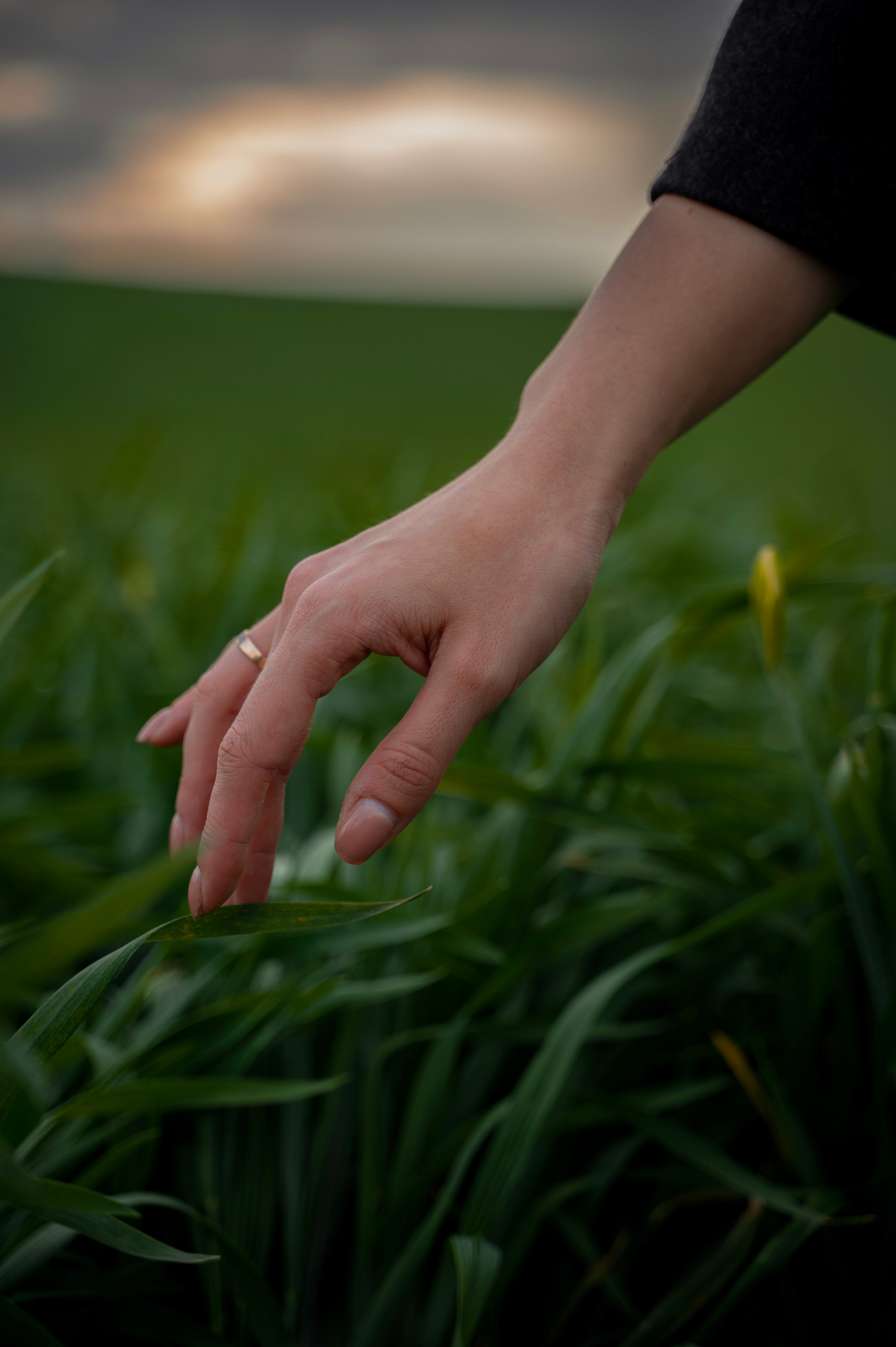 Поле. Аня. Ваш фотограф в Крыму