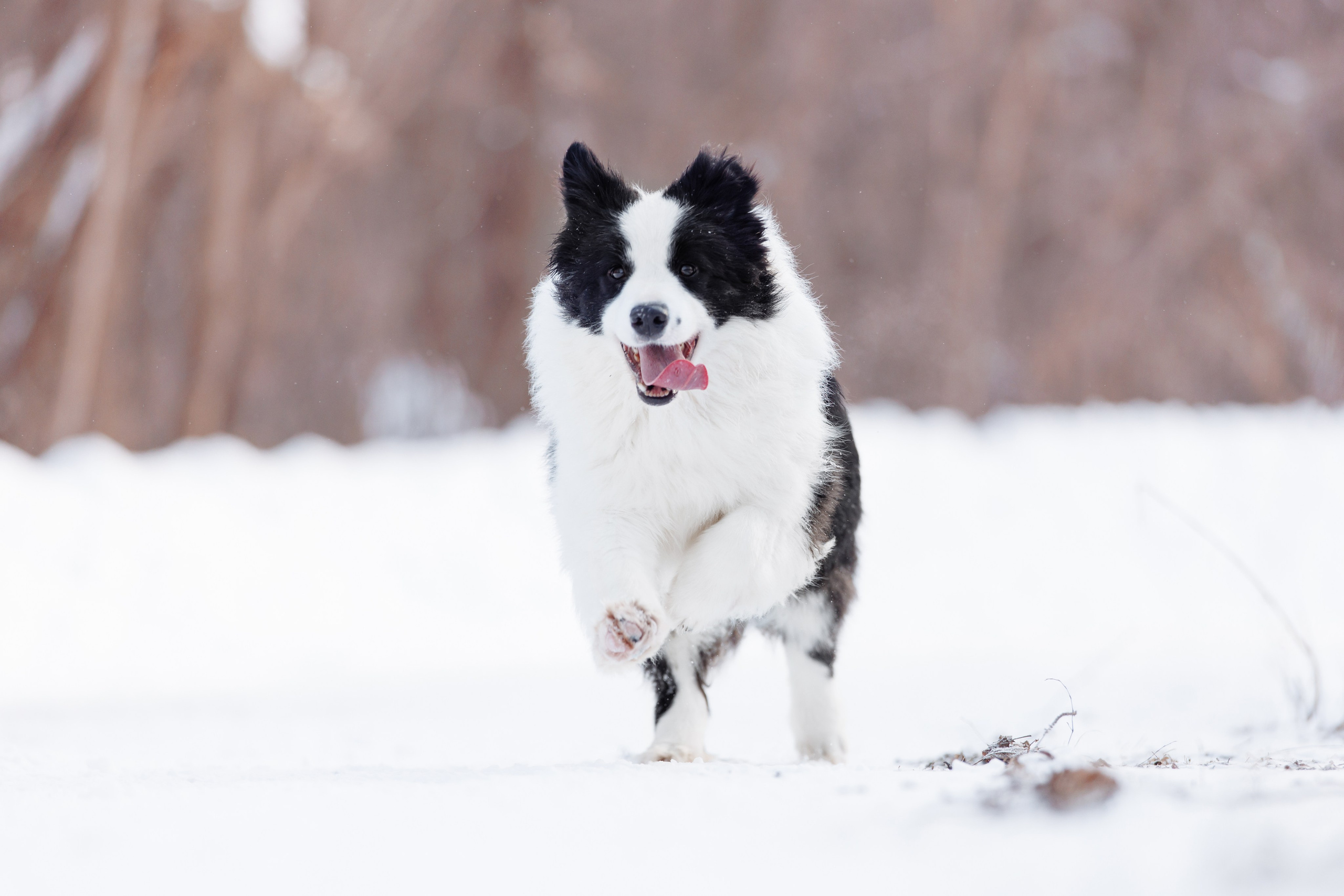 Яркий январь. О нас