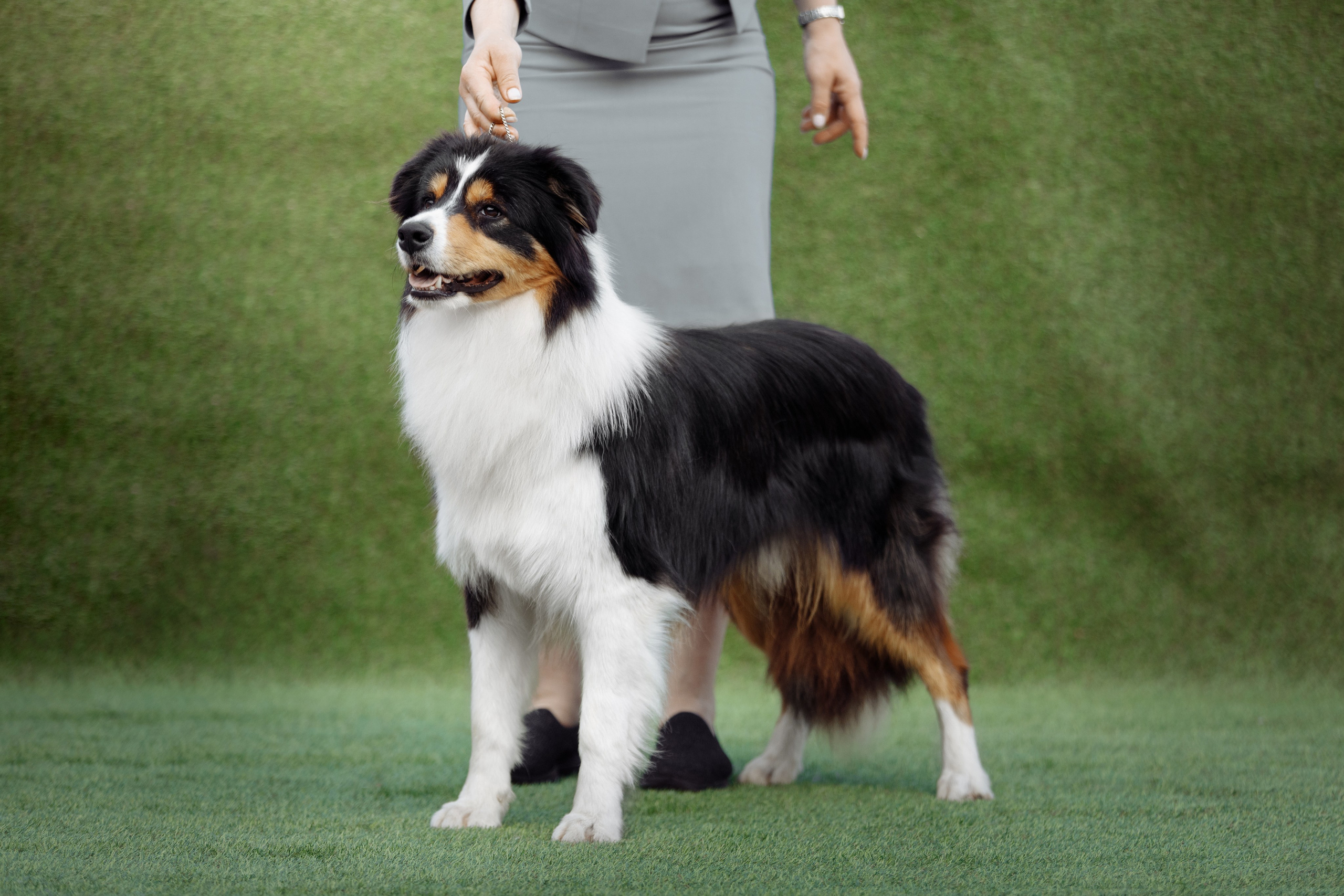 Свое место. О нас