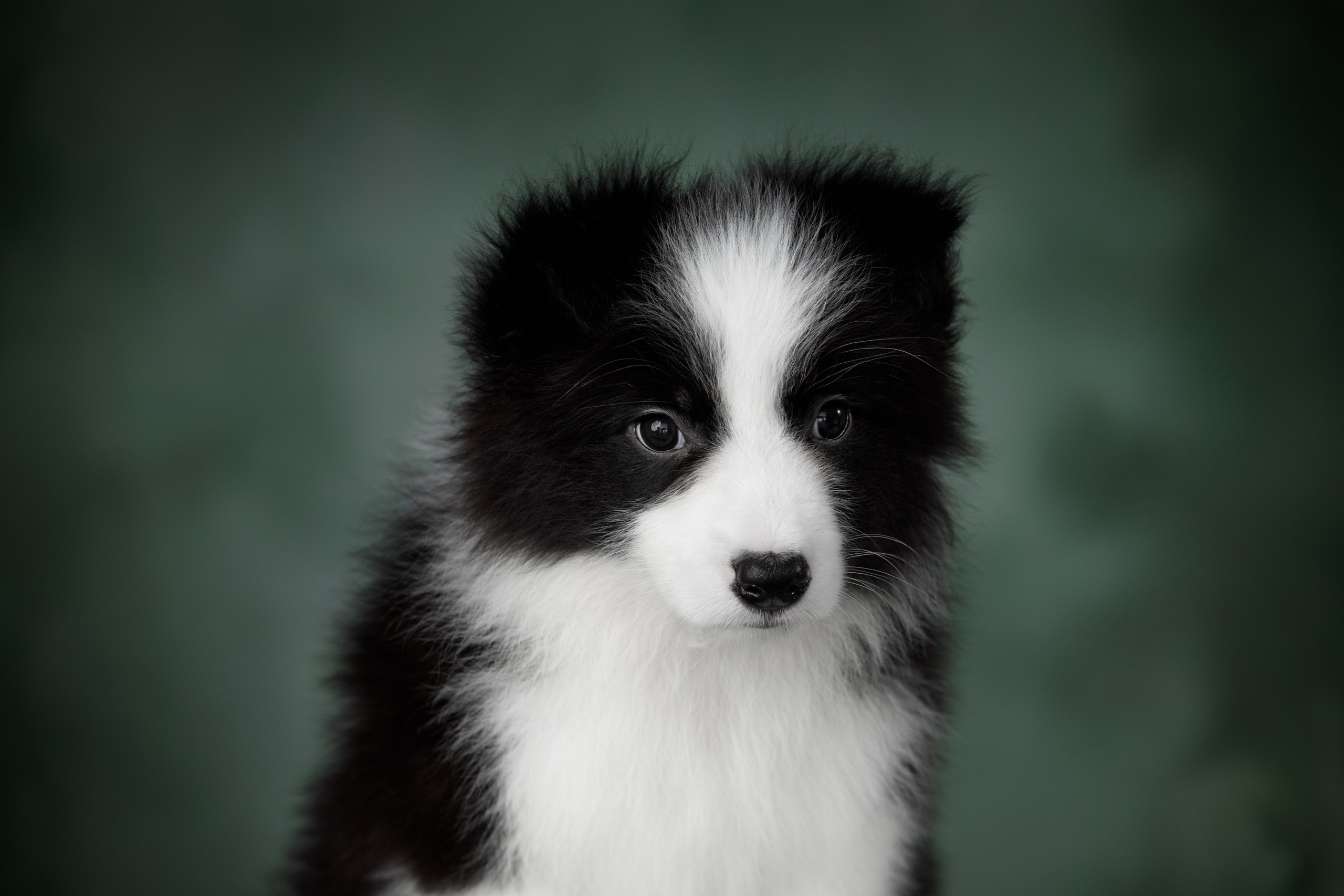 Март. Весна. 22. О нас