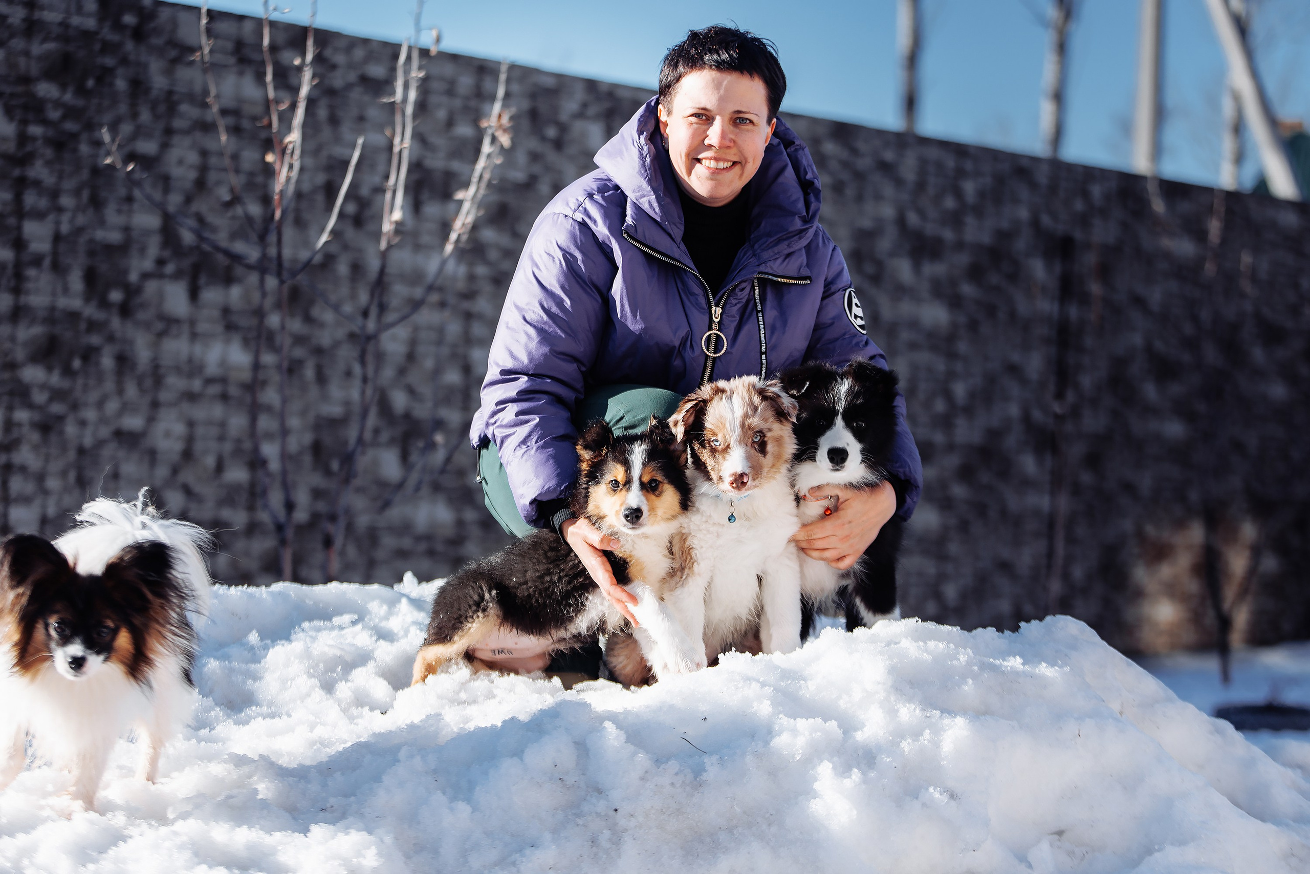 Пока таяло. О нас