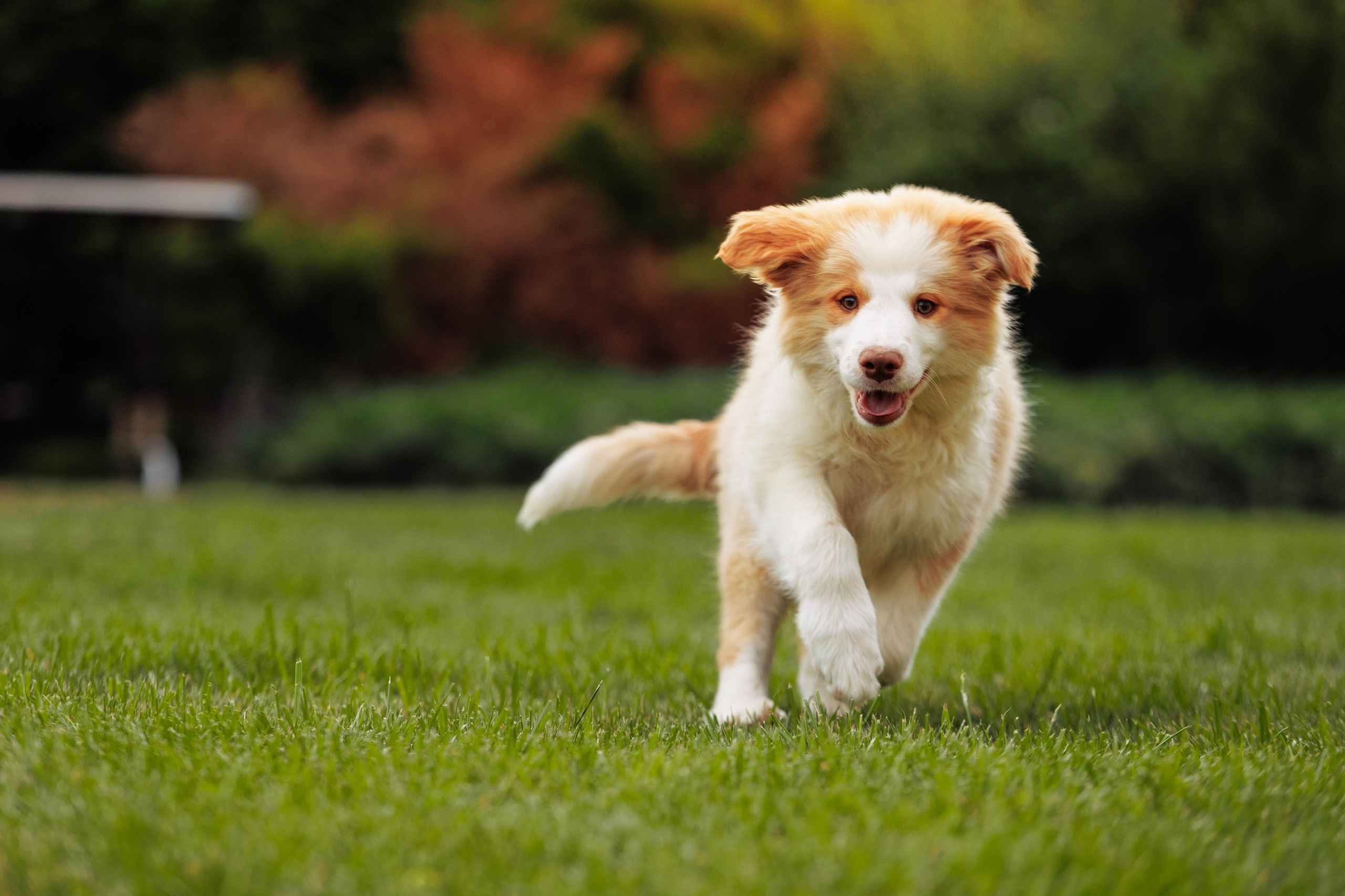 СОлнечные. О нас