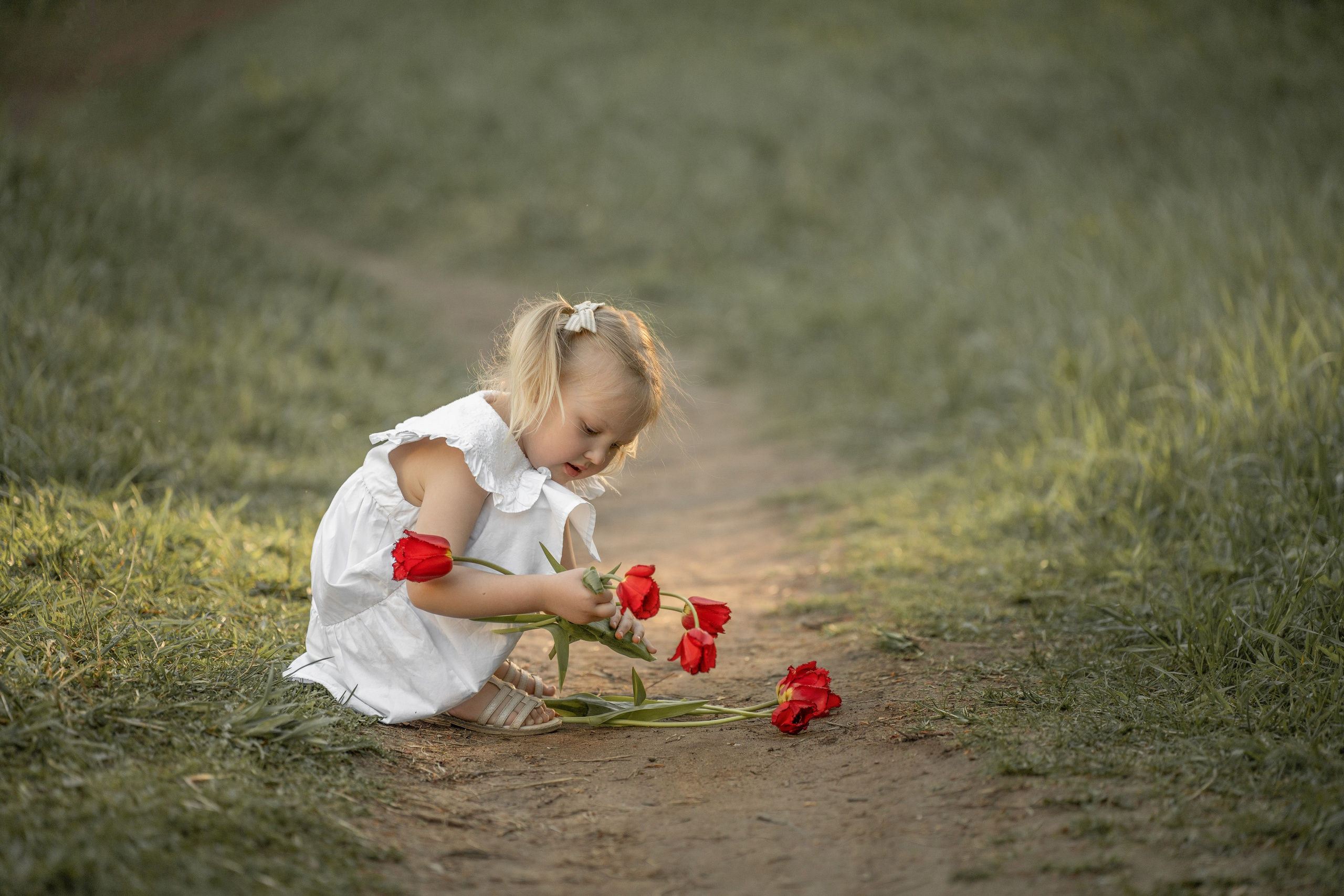 Ребенок с тюльпанами. Девочка садит цветы. Фото сделано в Павловском парке