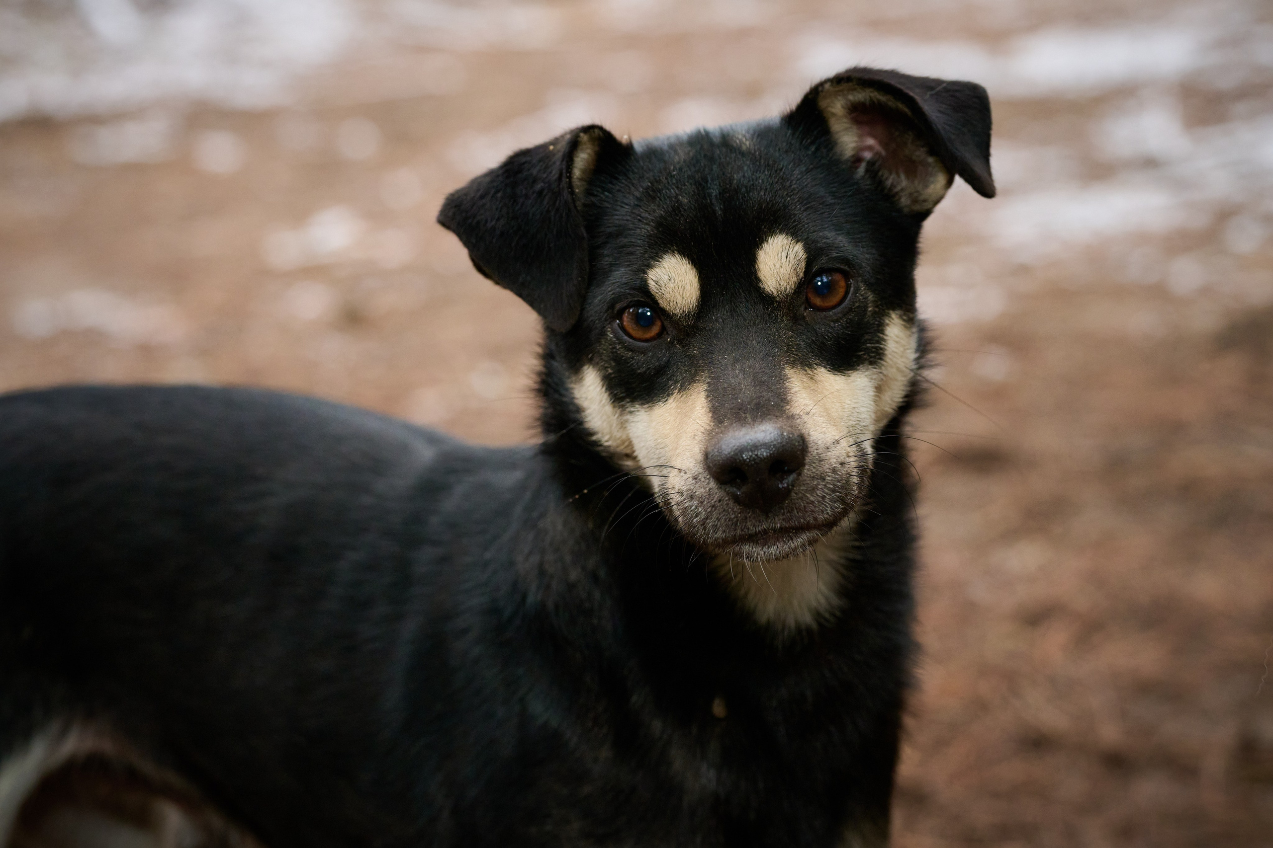 Фото для презентации фотопроекта «Территории». Фотопроект «Территории»