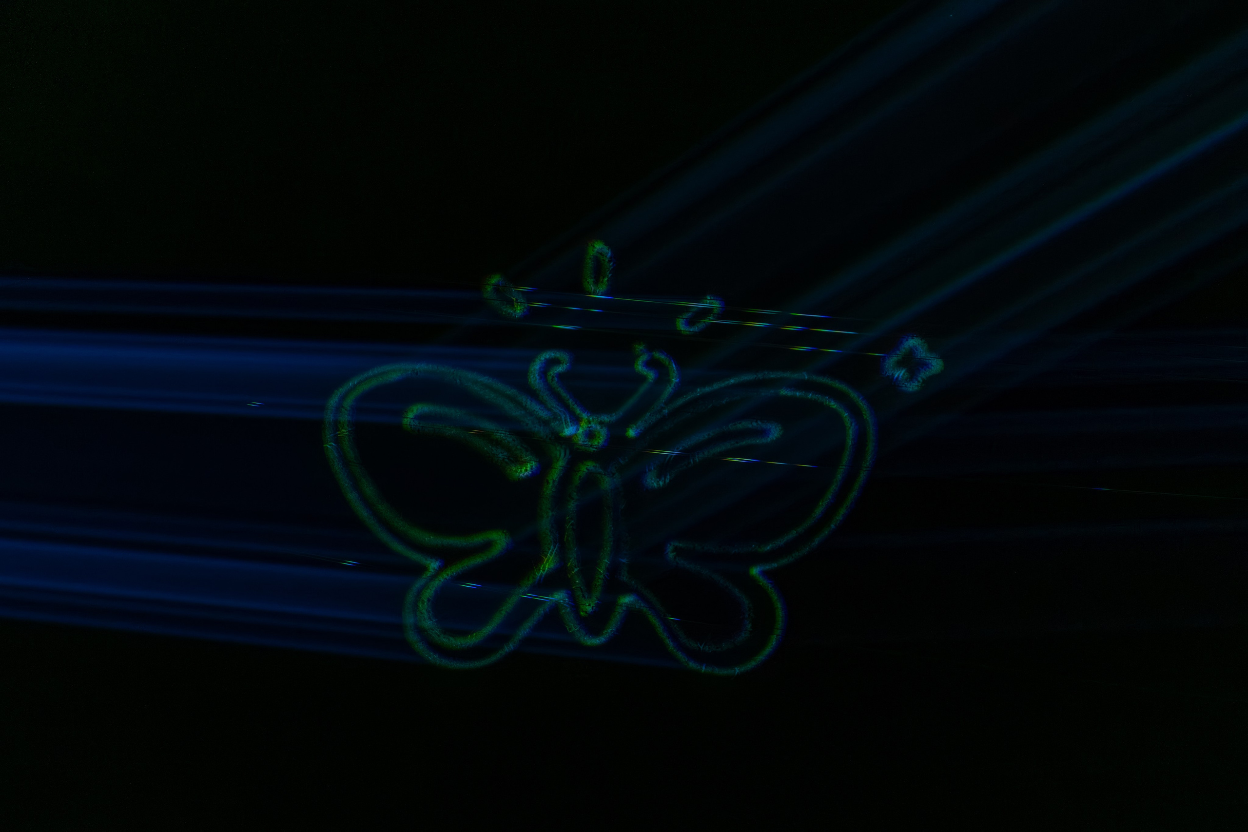 Skypark! Live. Репортажный фотограф в Красной Поляне и Сочи Павлюченко Екатерина