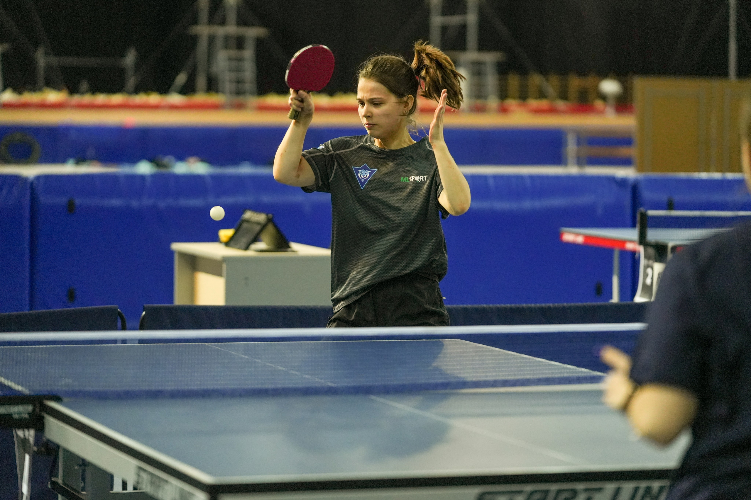 Настольный теннис в рамках АССК фест 2024 Сириус. Репортажный фотограф в Красной Поляне и Сочи Павлюченко Екатерина
