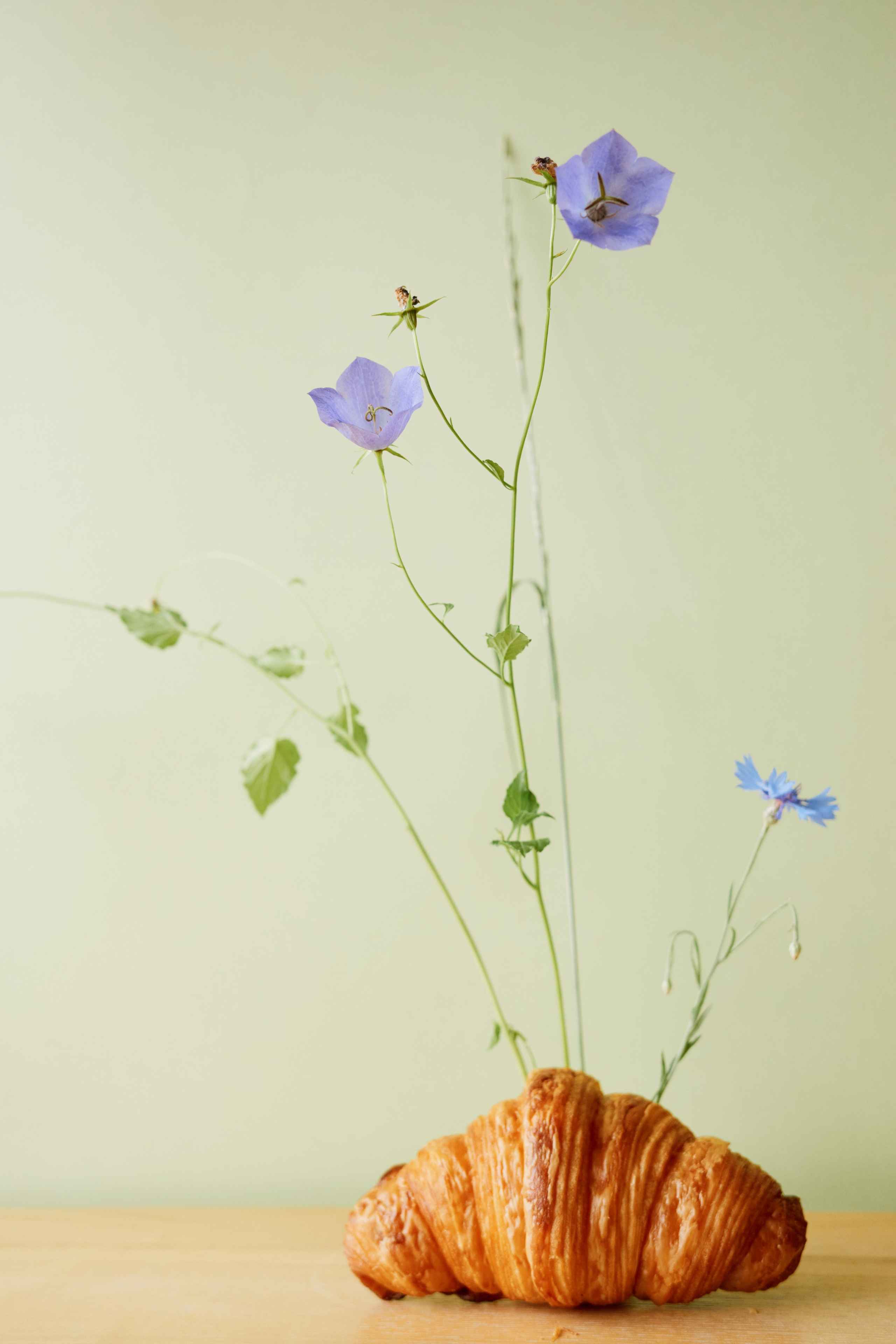 Matilda Cafe. Портретный фотограф Филимонов Сергей