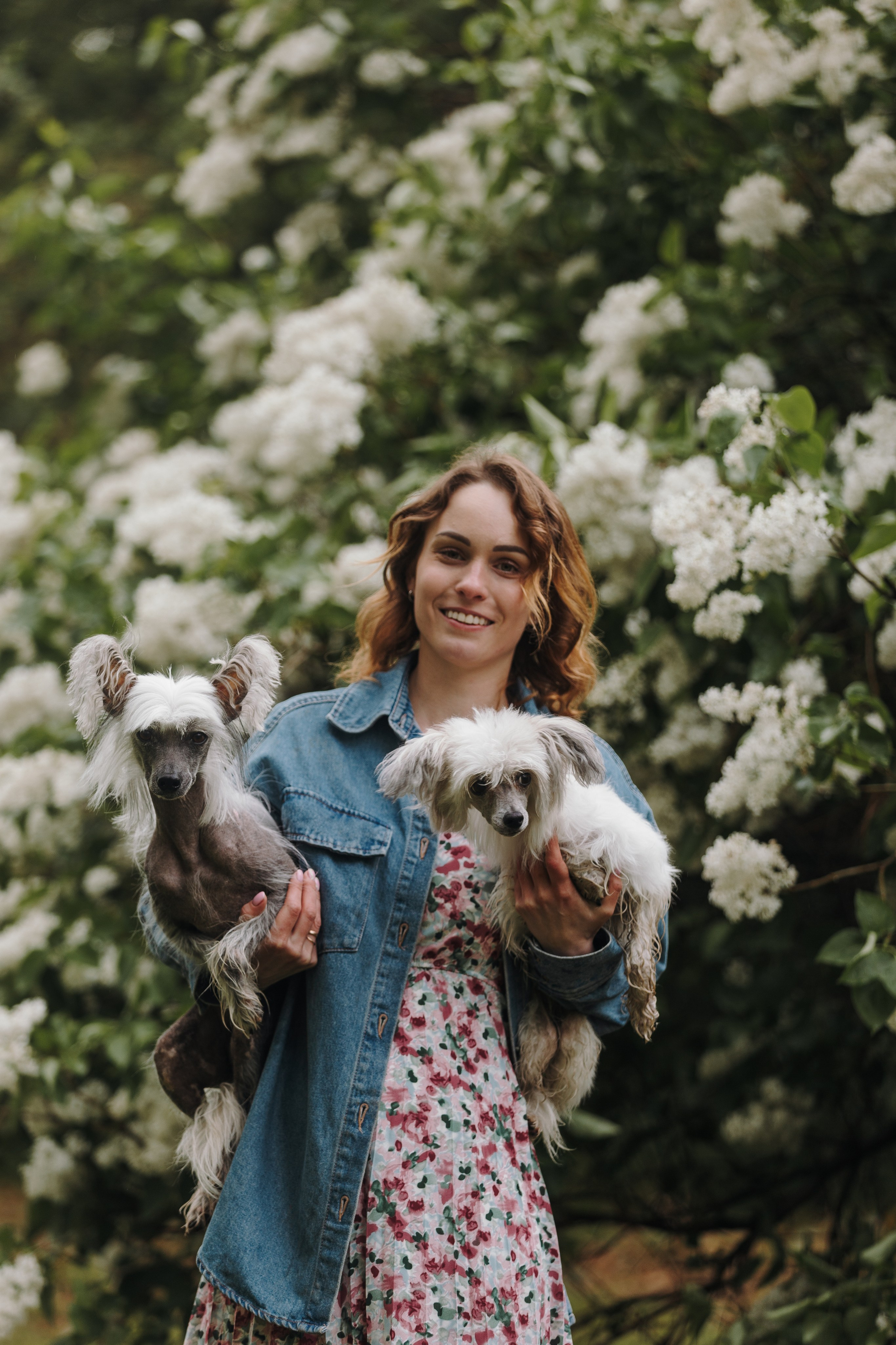 Лили, Уся, Вика и их семья. Фотограф анималист Кристина Карпова, Москва