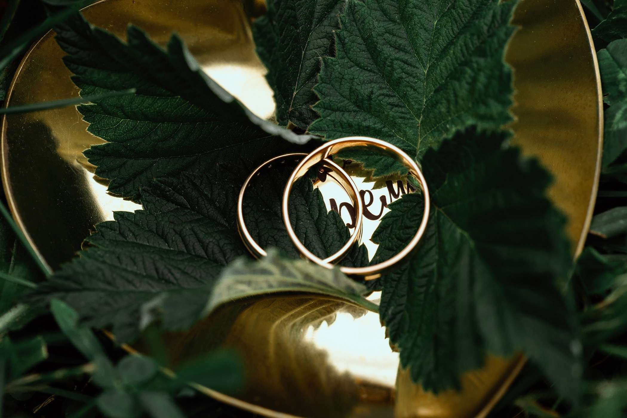 Алексей и Марина. Тимур Аминов | Фотограф в Кемерове