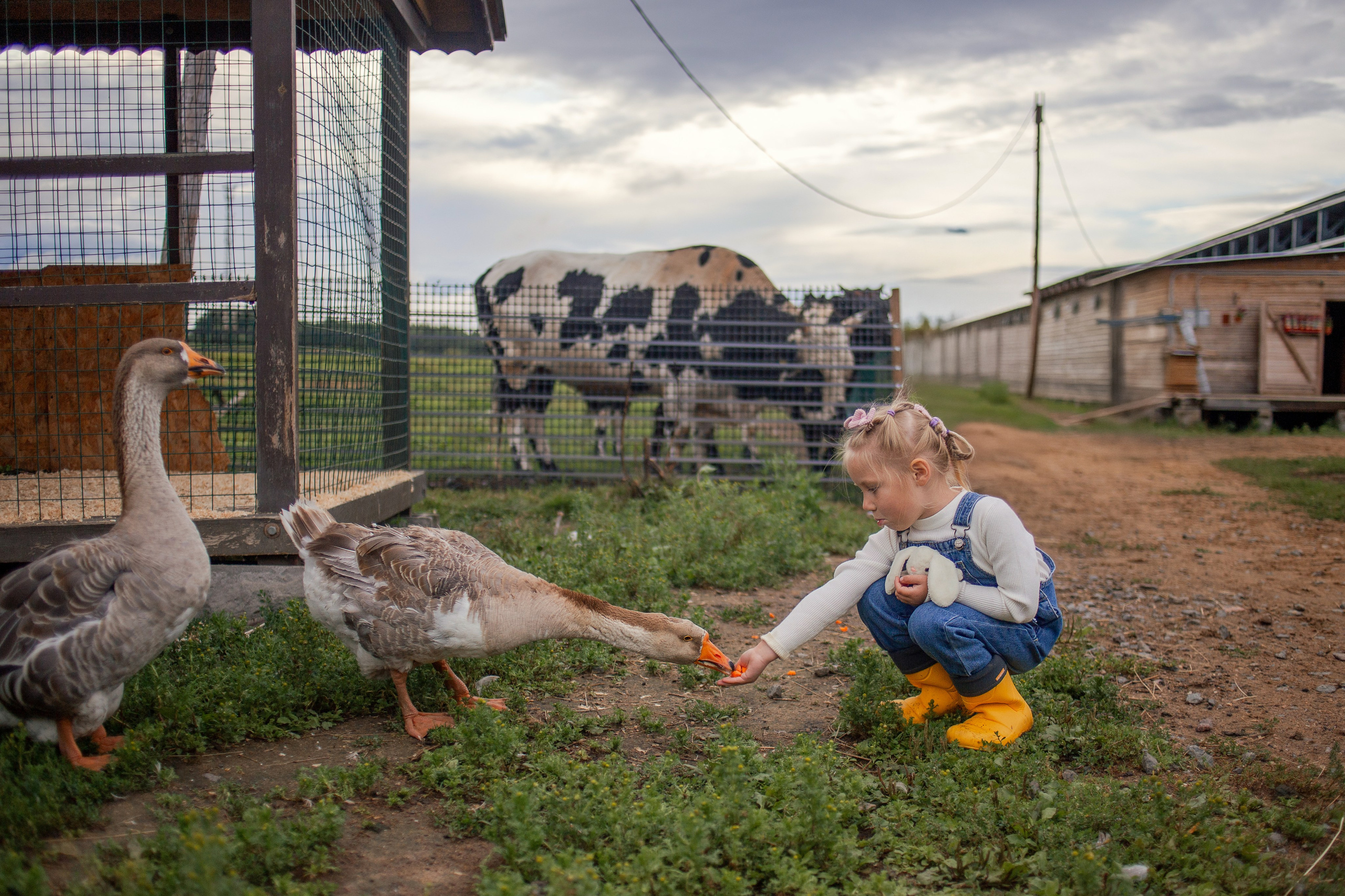 Детская фотосессия на ферме в СПб