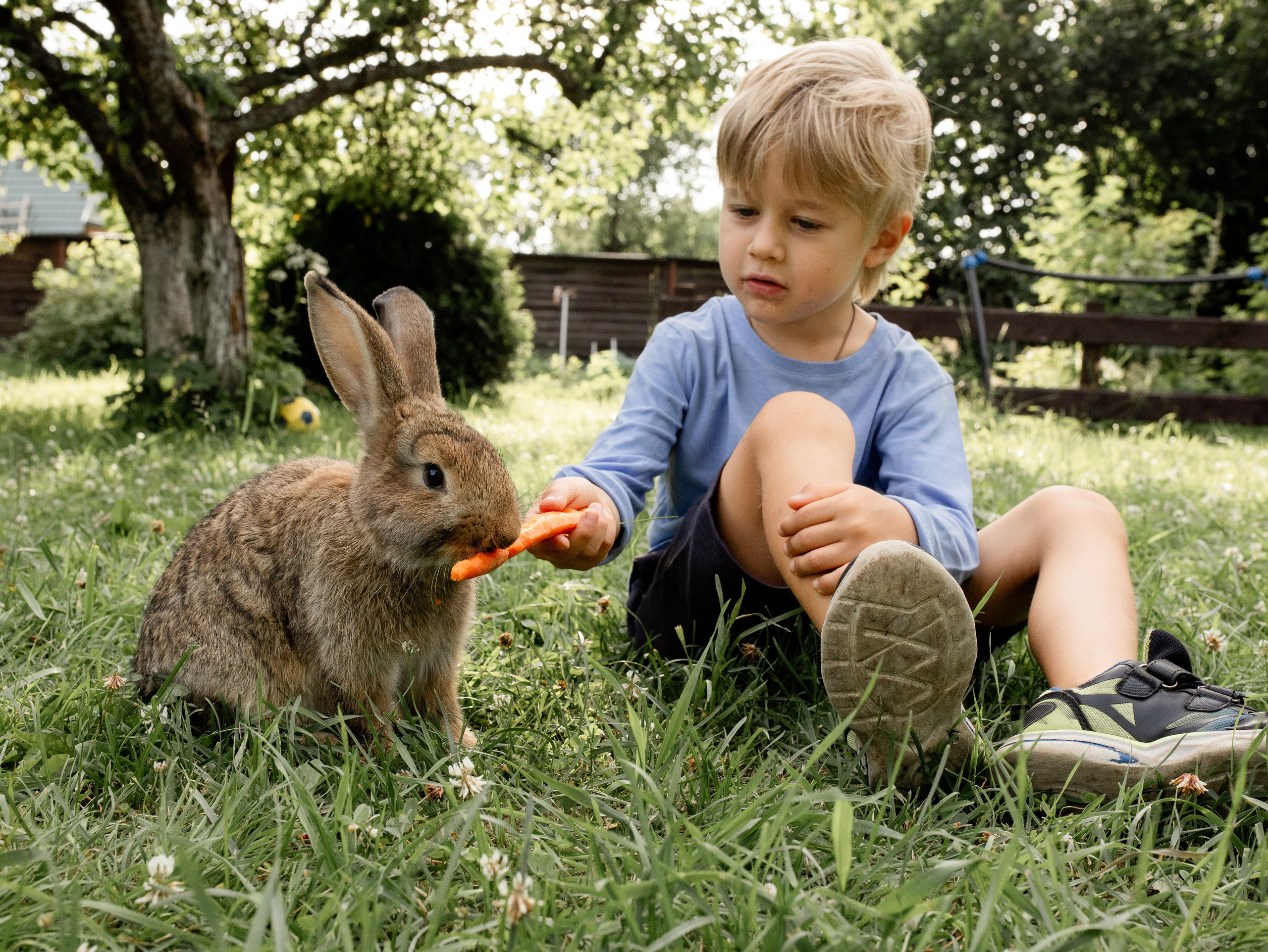 Кролики 2023. Семейный фотограф в Санкт-Петербурге Ирина Иванова