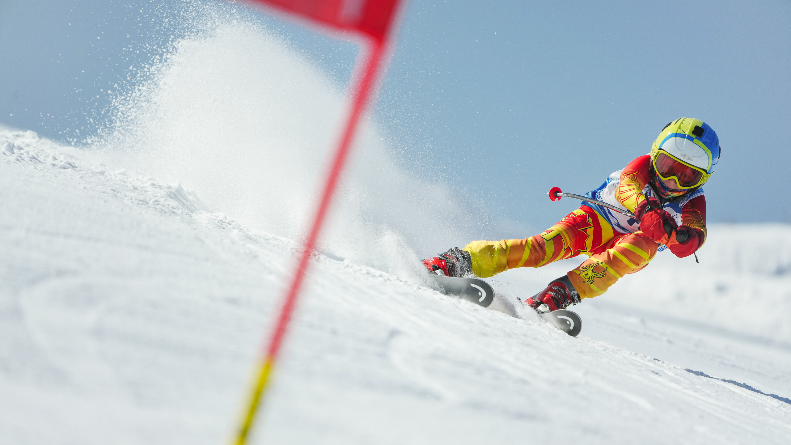 GS (Giant Slalom) - Слалом-гигант. Соревнования по горнолыжному спорту. Московская область, Шуколово