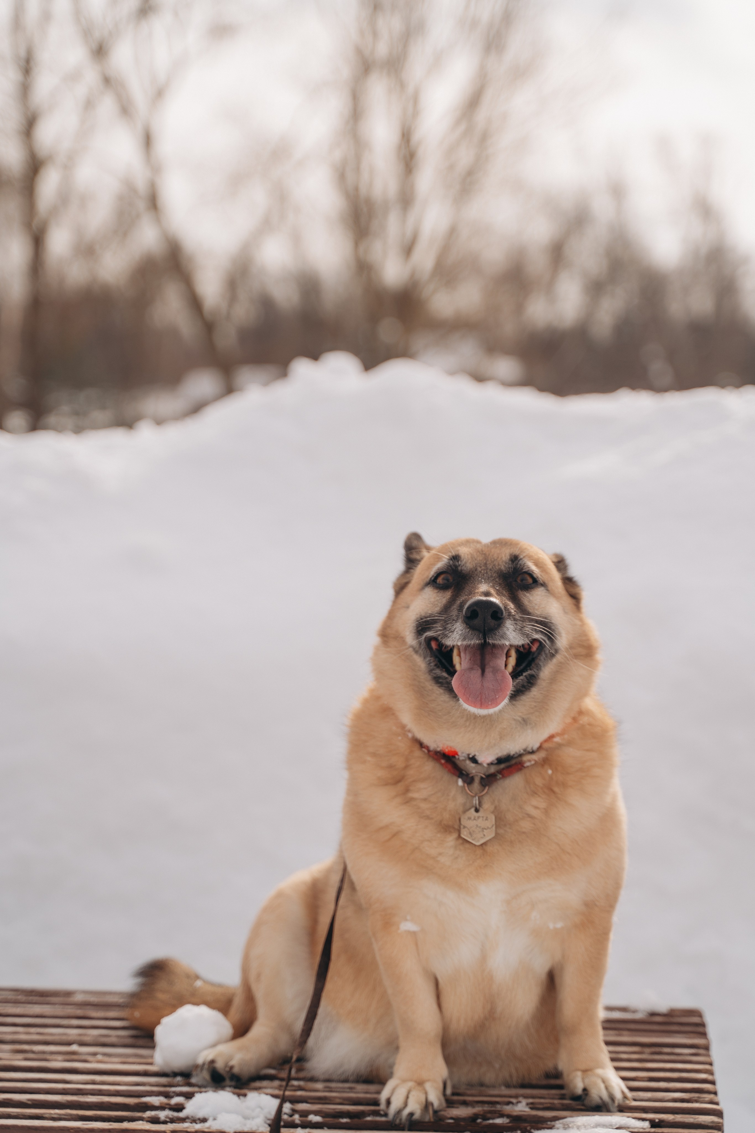 Февраль с Мартой 💞. FotoTanya. Раменское/Жуковский/Бронницы